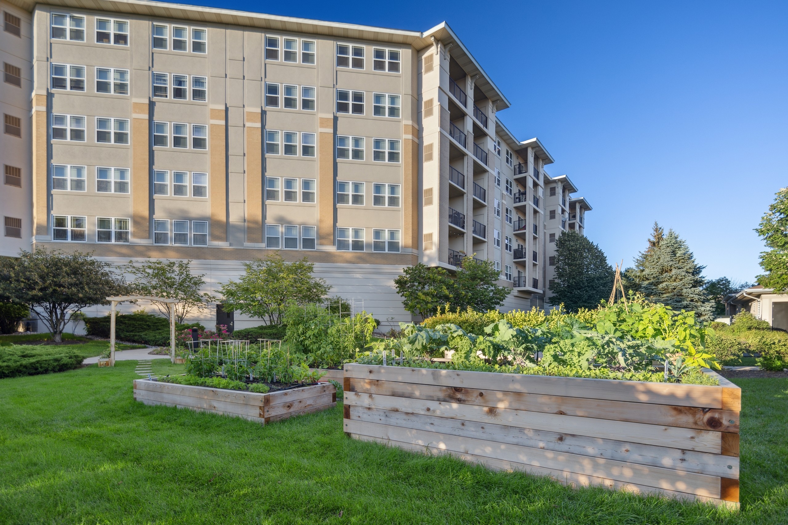 Resident garden consisting of multiple wood planters of varied sizes in front of AMLI at Seven Bridges apartment building 