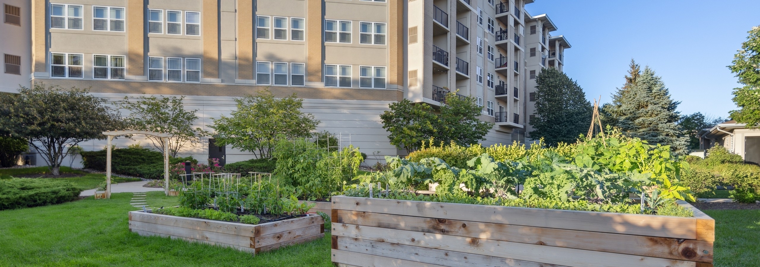 Resident garden consisting of multiple wood planters of varied sizes in front of AMLI at Seven Bridges apartment building