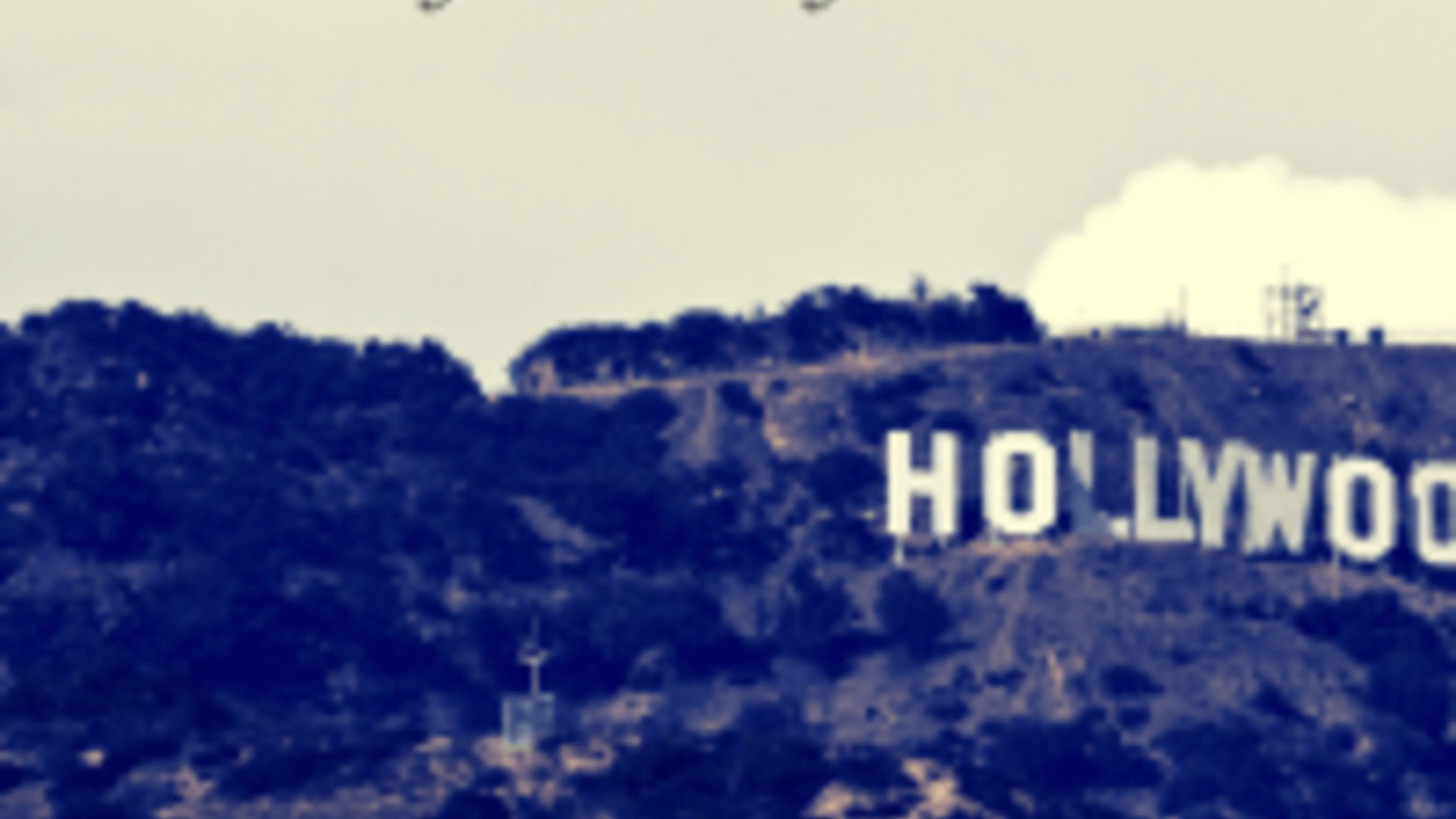 Rewarding Views, Celebrity Sightings, and More in Runyon Canyon Park