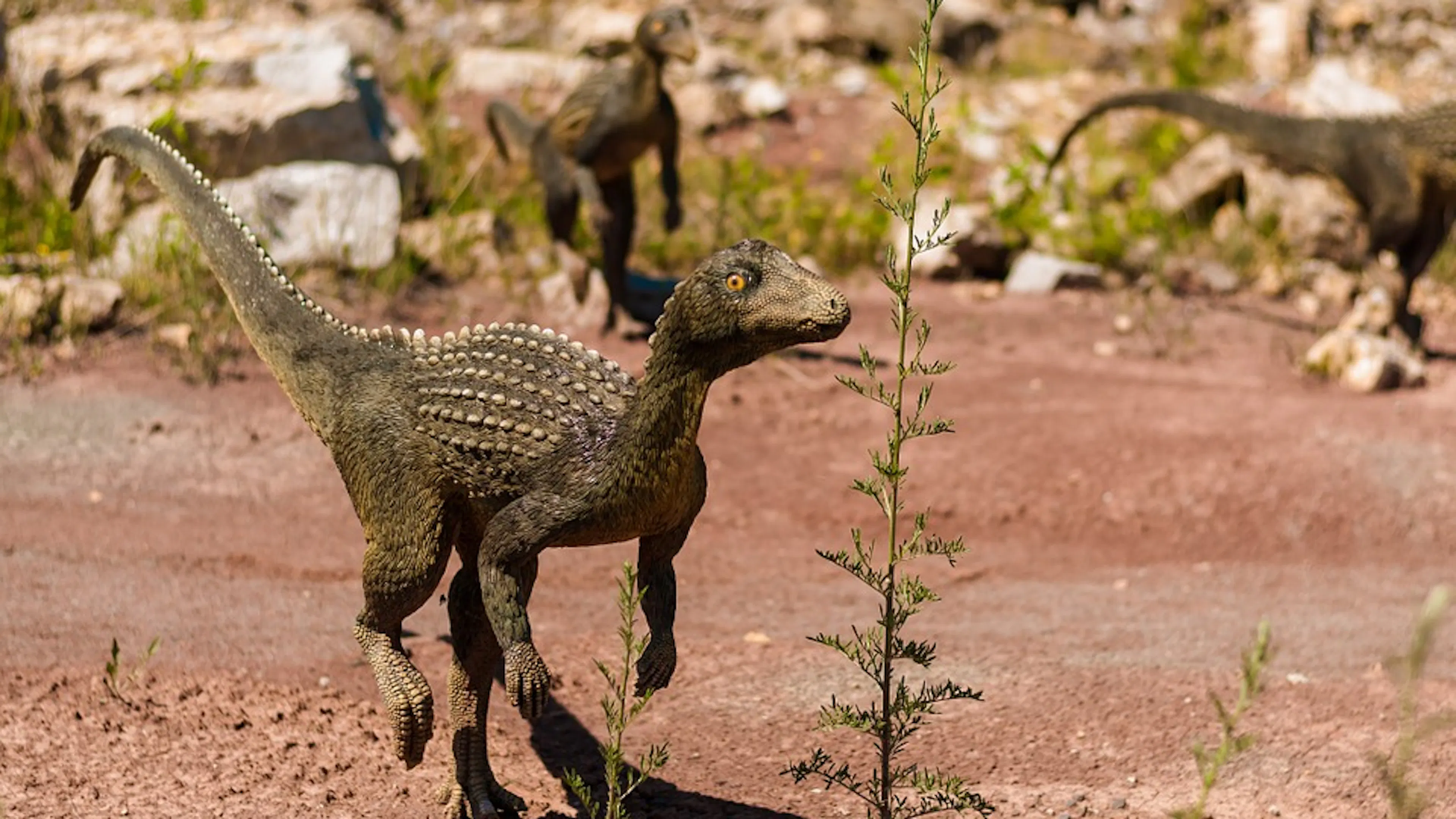 A rendering of a small dinosaur running through desert sand toward some grassy shrub