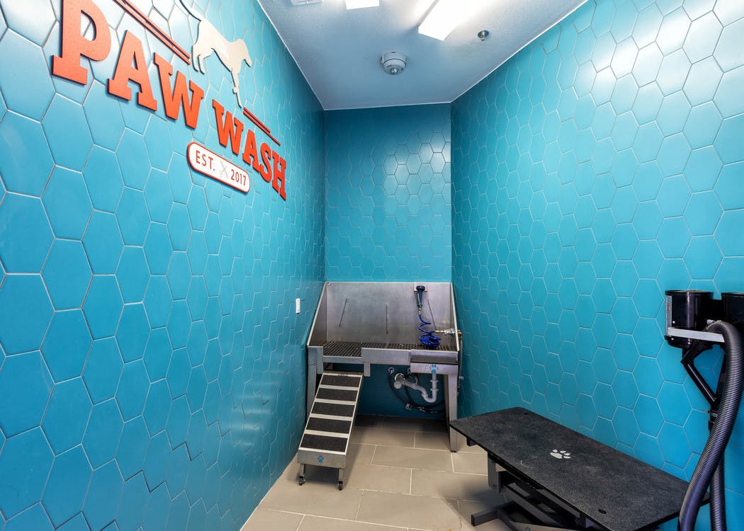 Paw wash at AMLI on Aldrich with bright blue walls and a deep stainless steel pet sink with drying table and light flooring