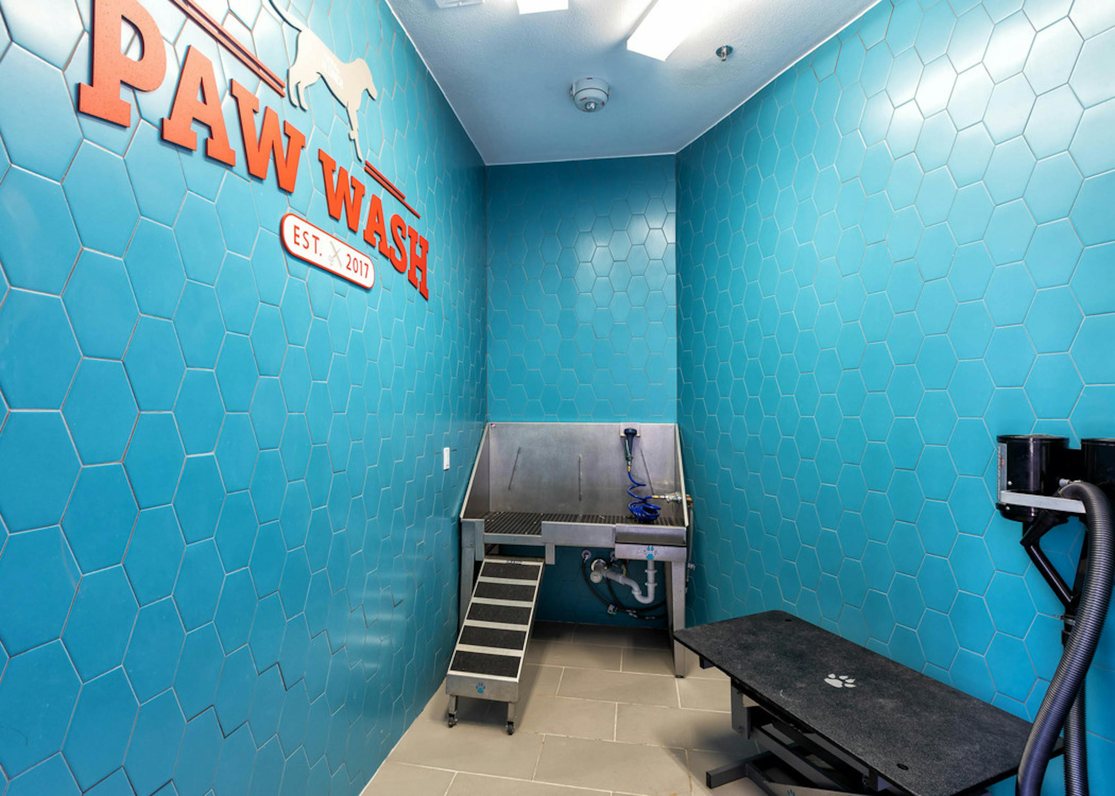 Paw wash at AMLI on Aldrich with bright blue walls and a deep stainless steel pet sink with drying table and light flooring