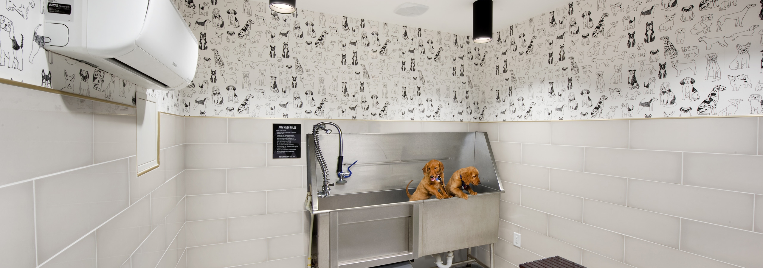 Interior view of AMLI Lenox paw wash with black and white dog mural and brown bench and stainless tub with two puppies in it
