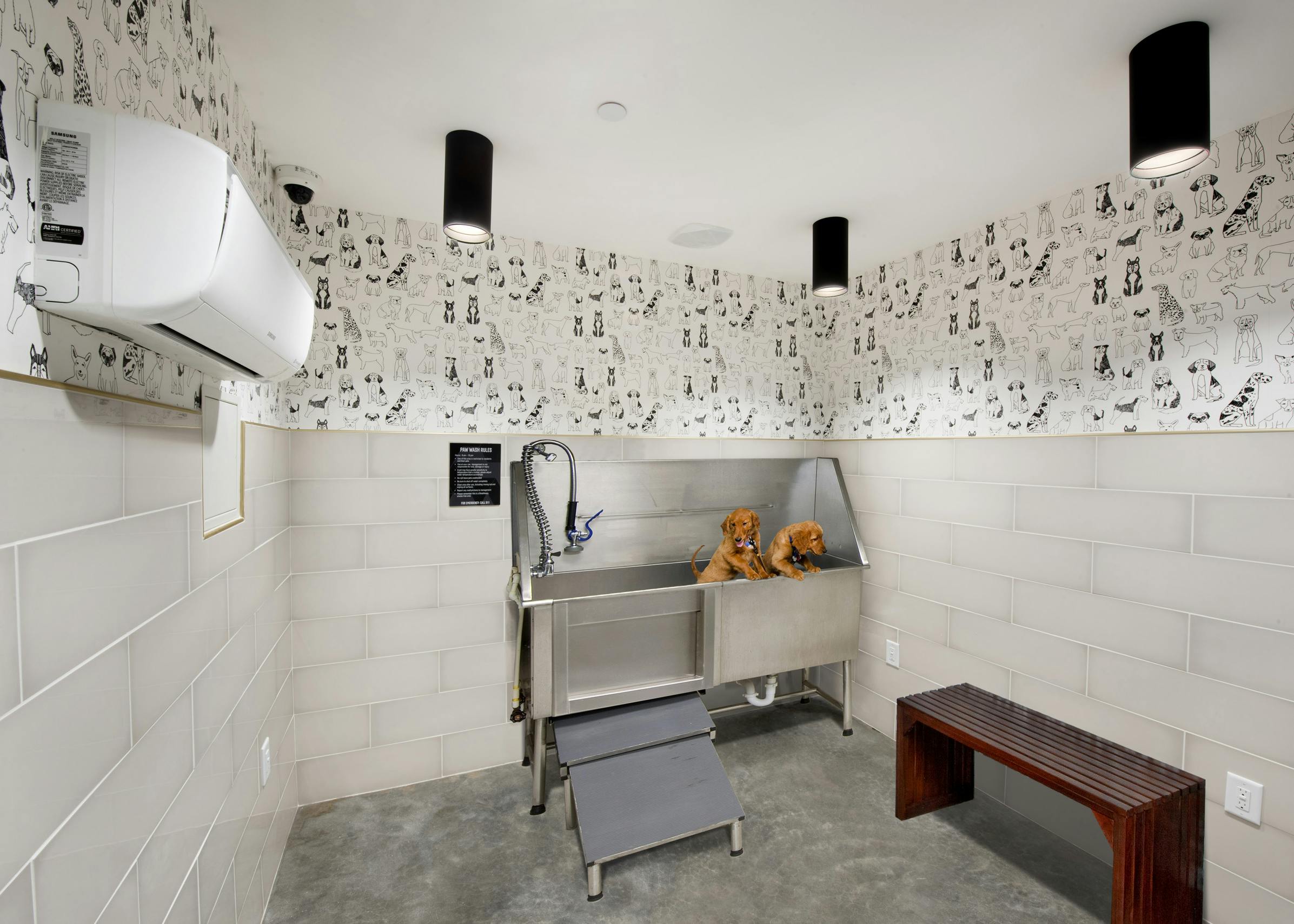 Interior view of AMLI Lenox paw wash with black and white dog mural and brown bench and stainless tub with two puppies in it