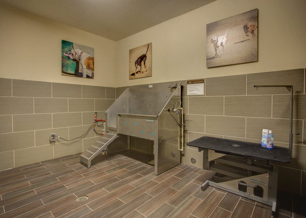 Pet washing area at AMLI Riverfront Park apartments with view of the wash tub and grooming stand as well as pet photography