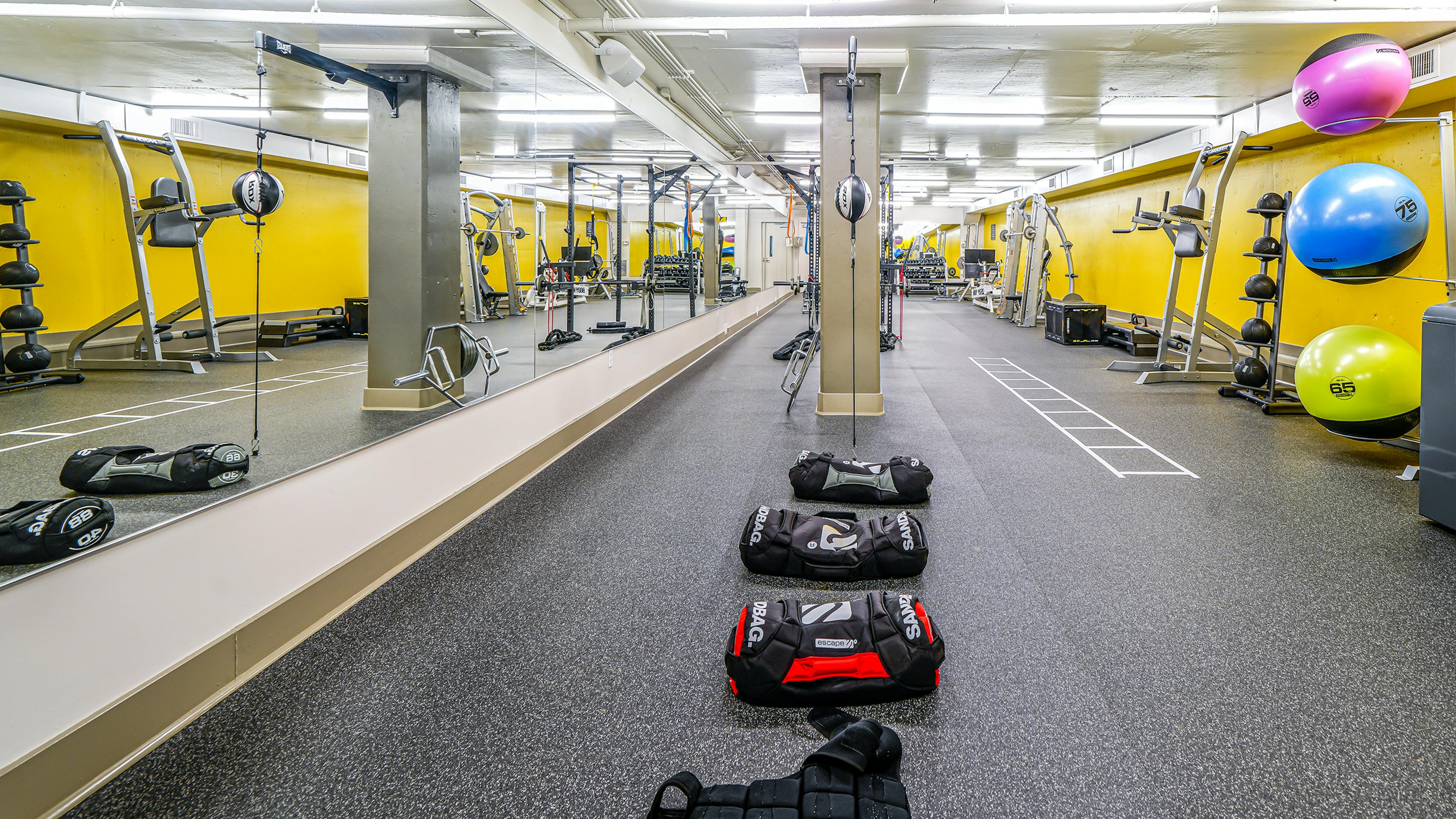 Fitness center at AMLI Bellevue Park with weighted bags and three yoga balls and strength training equipment and mirrored wall