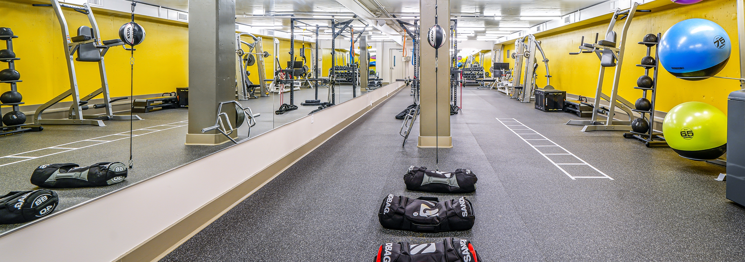 Fitness center at AMLI Bellevue Park with weighted bags and three yoga balls and strength training equipment and mirrored wall