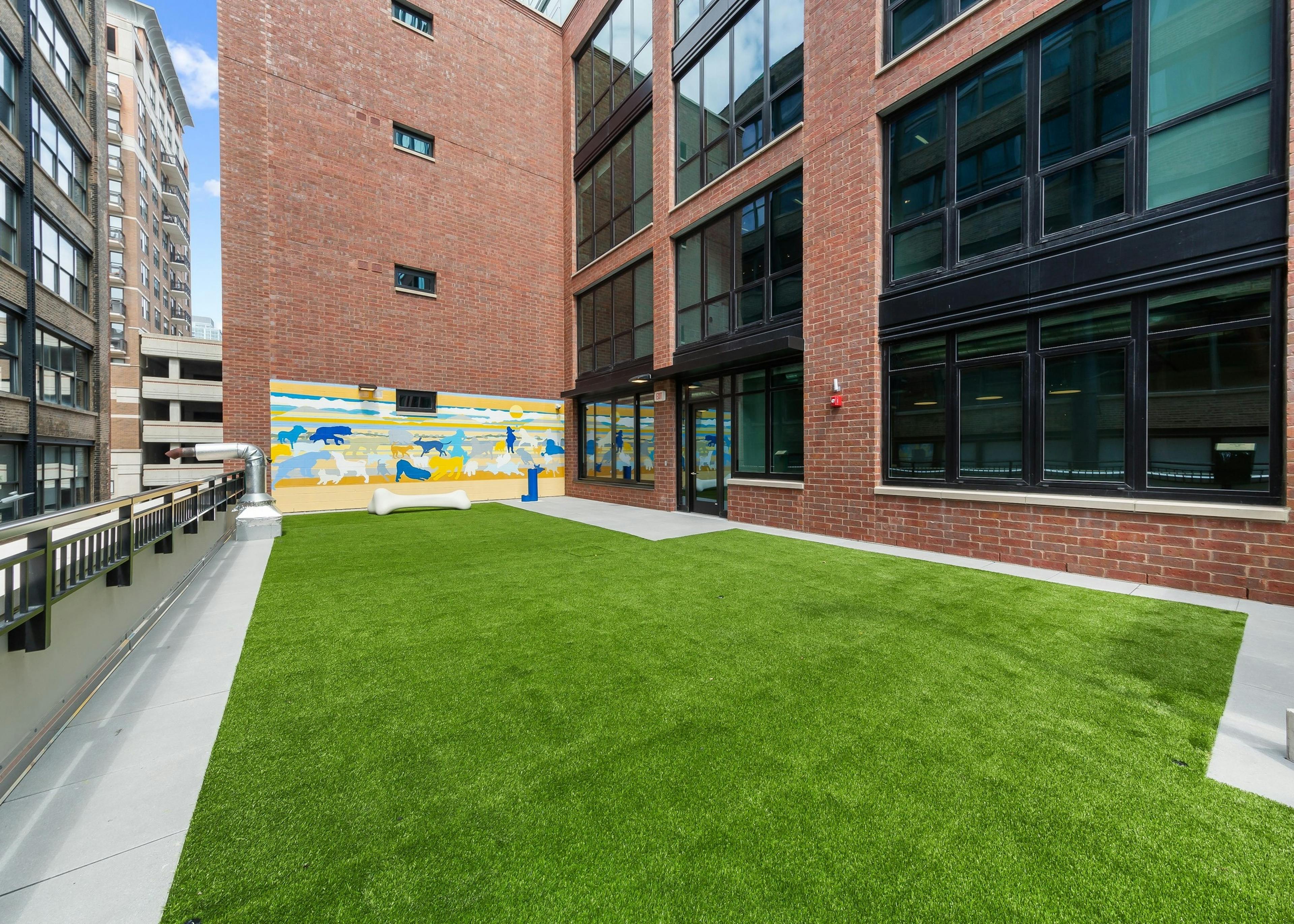 Daytime view of spacious outdoor pet park at AMLI 808 with green turf surrounded by the community’s brick exterior 