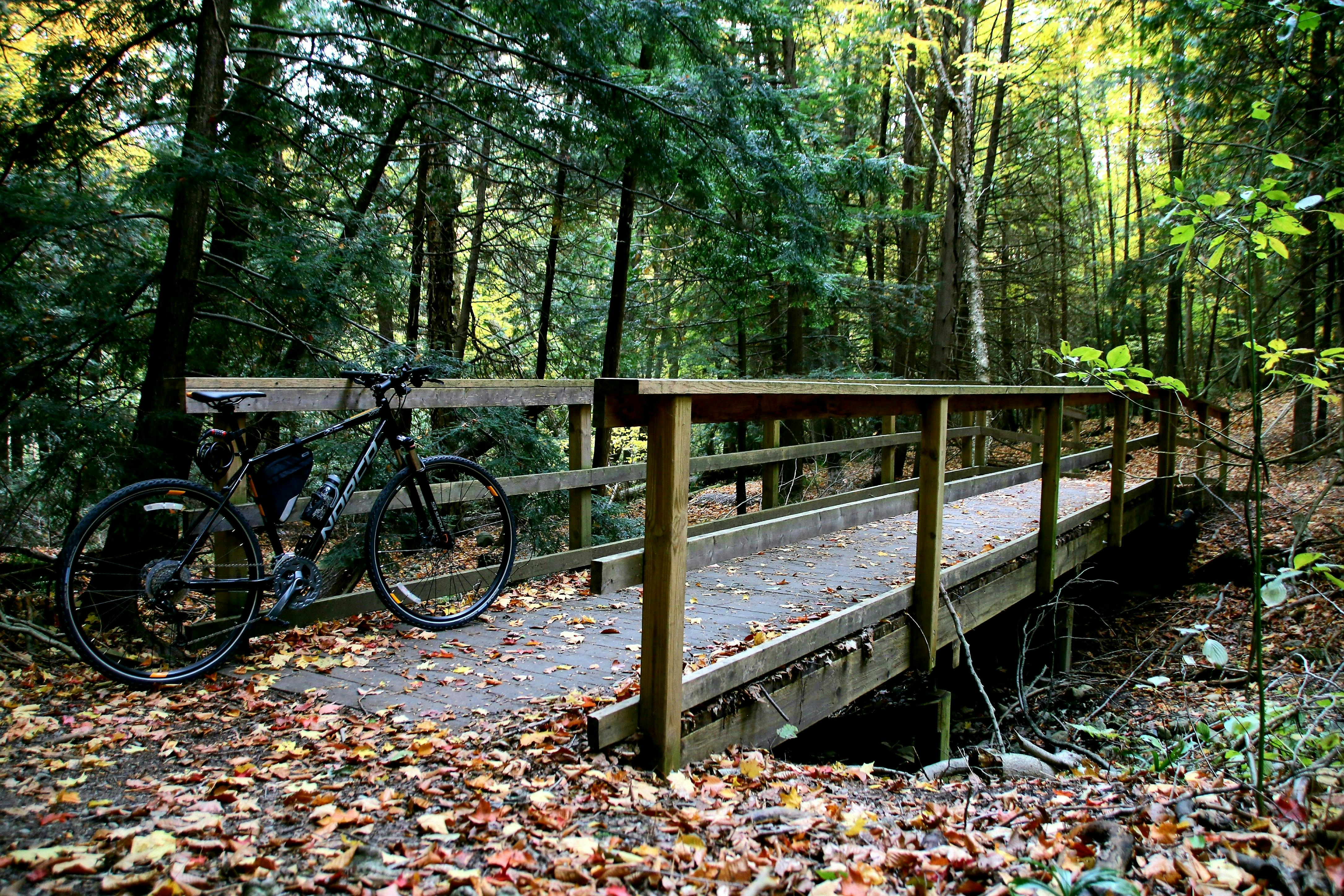 A mountain bike resting beside a wooden foot bridge