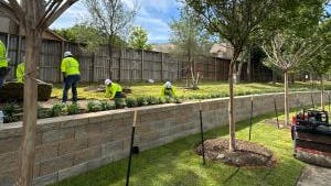 Landscapers in neon yellow shirts installing sod within the 3-acre linear trail at AMLI Treehouse apartments