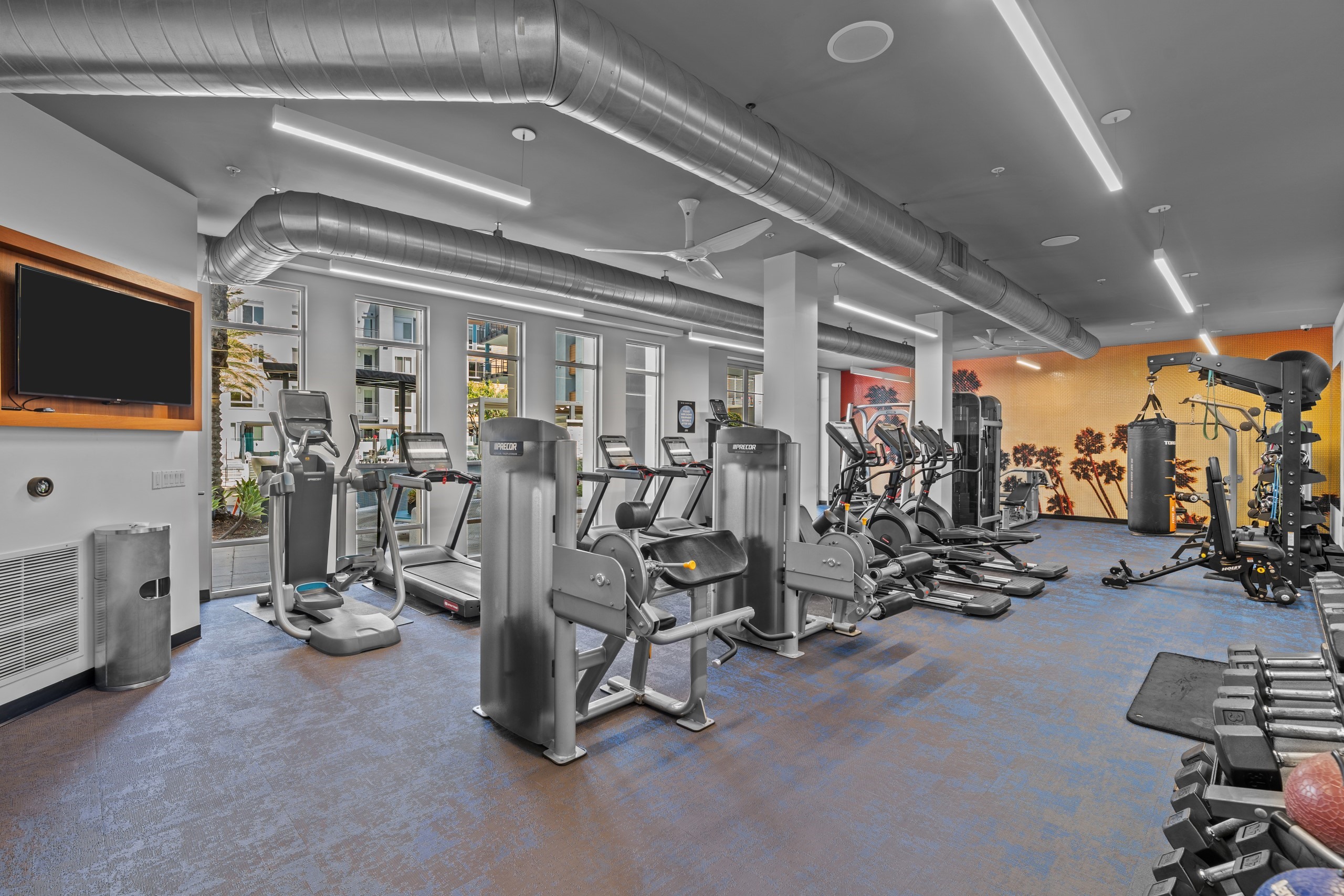 Interior of fitness center at AMLI Uptown Orange apartments with cardio machines, large TV and bright wall mural