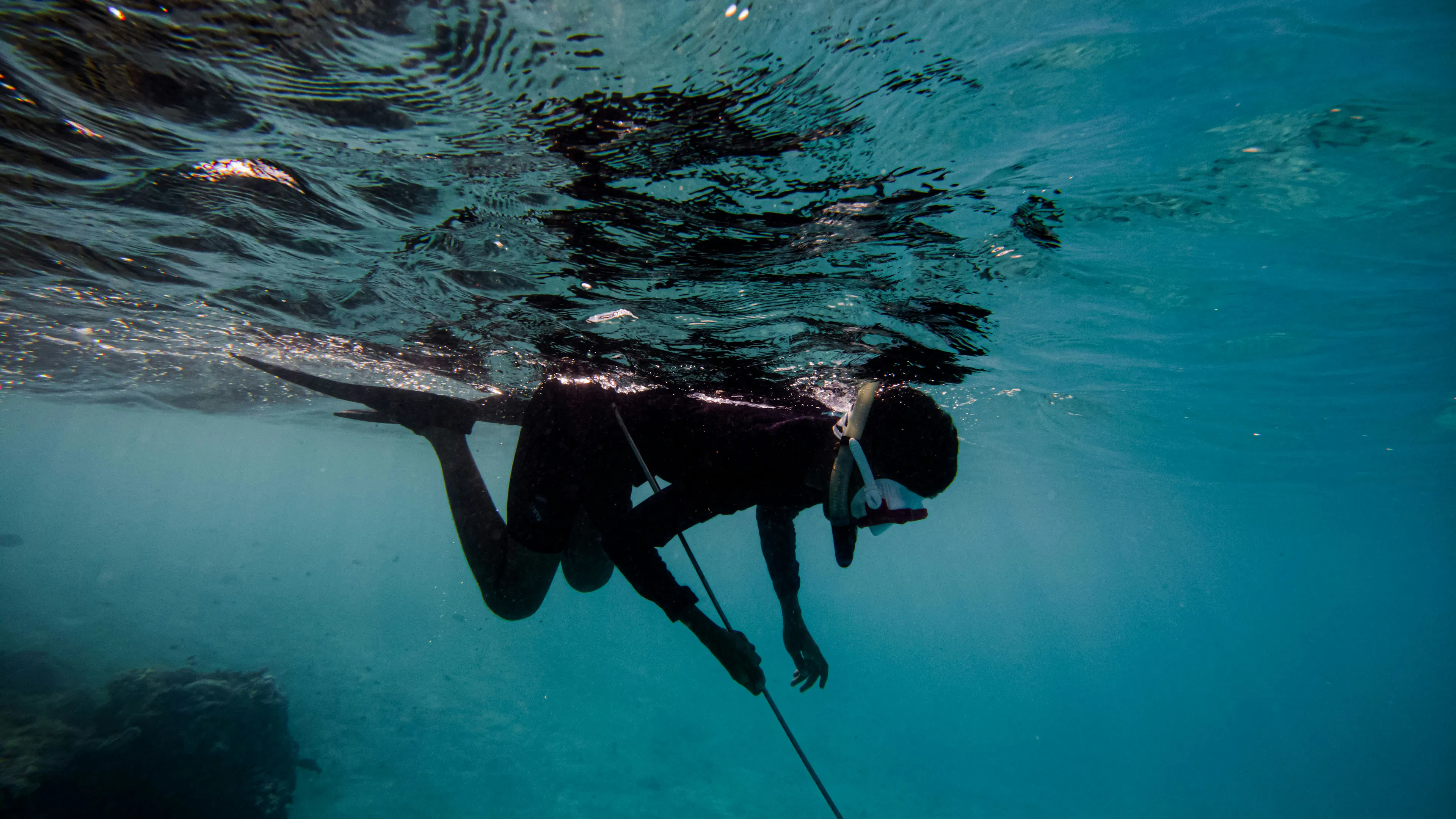 A person in spearfishing gear and a spear snorkeling in water
