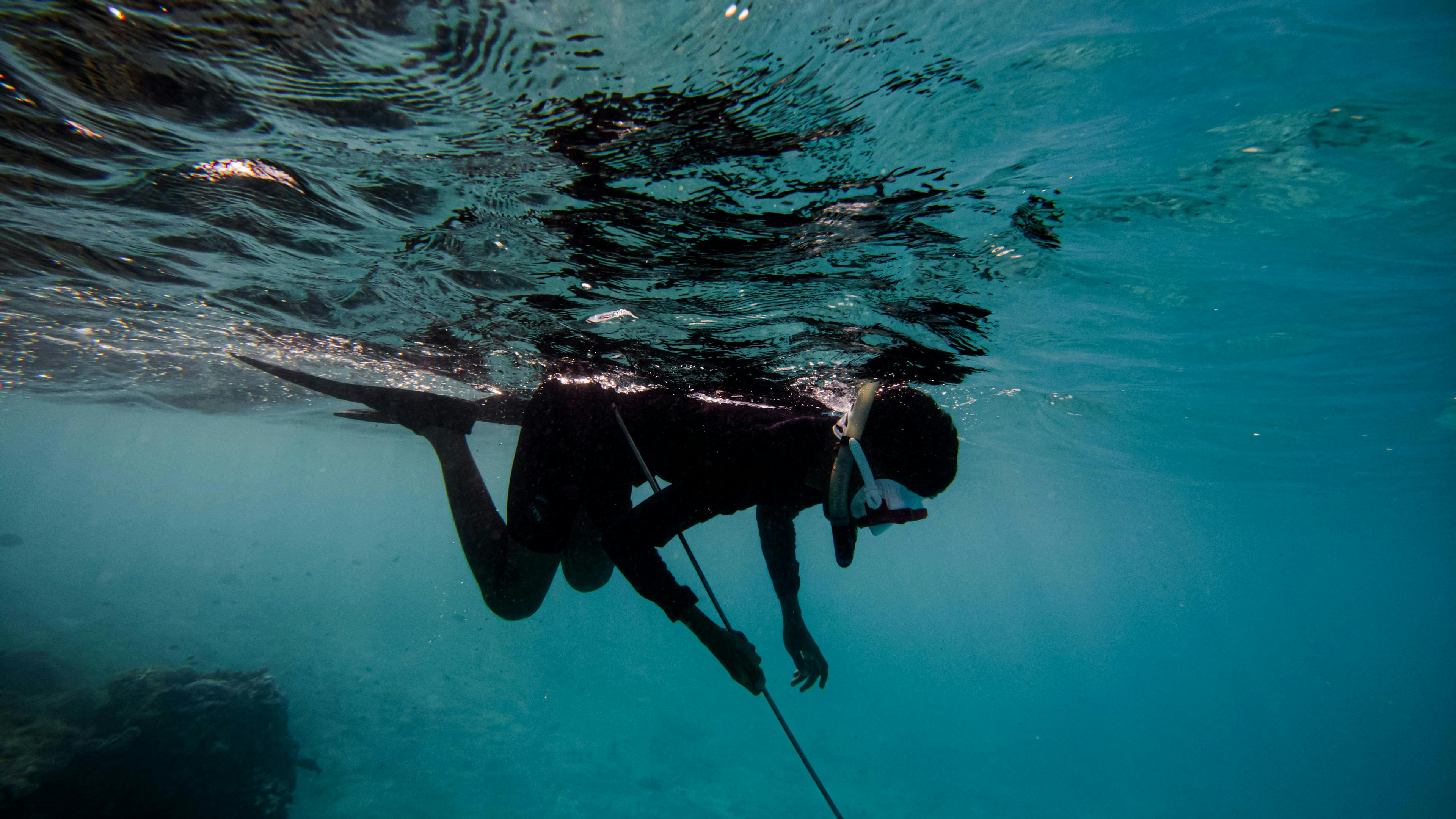 A person in spearfishing gear and a spear snorkeling in water