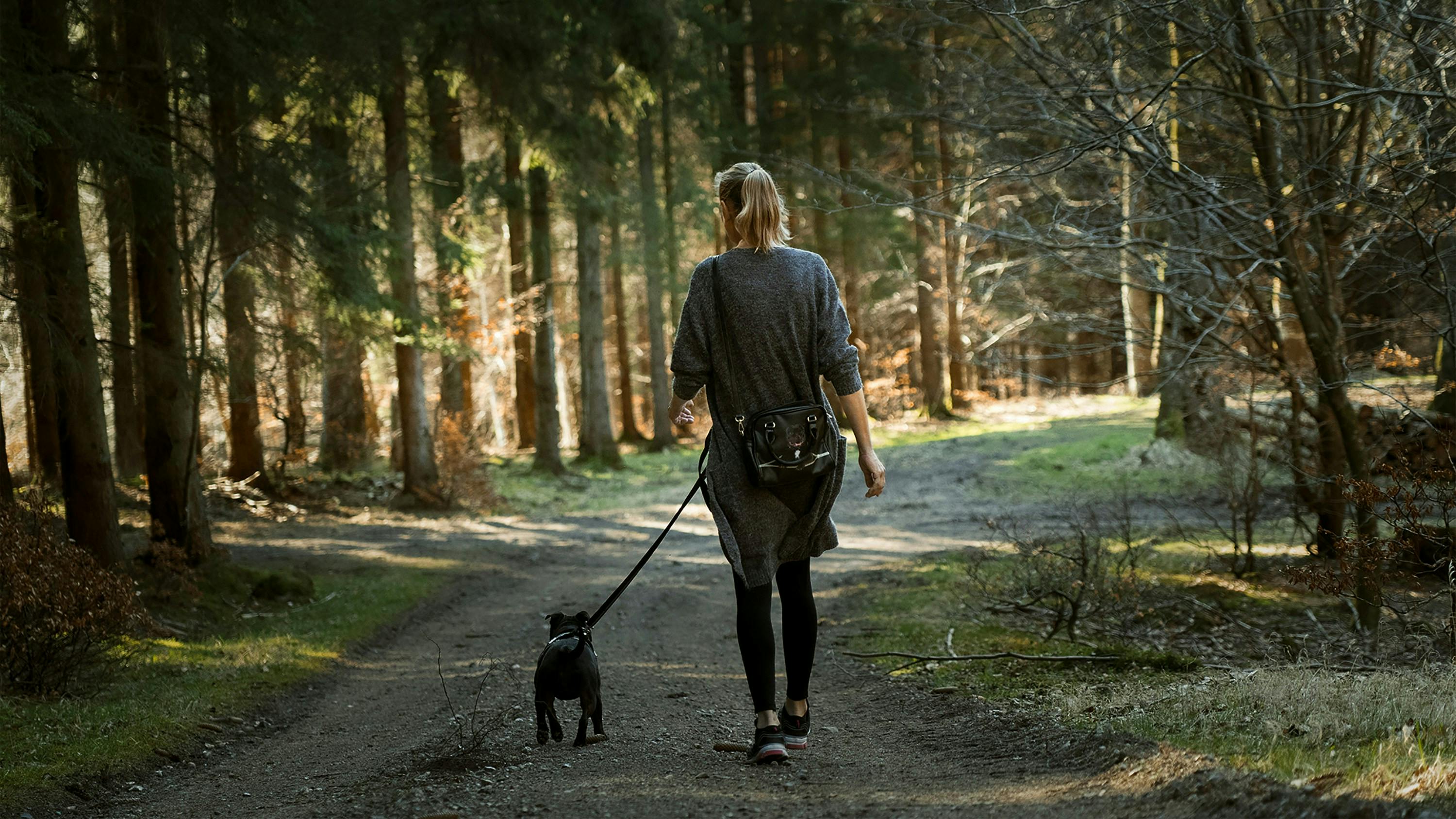 A person from behind, with blonde hair, walks a dark-colored dog on a leash down a dirt path through a forest. The person is wearing a grey top and black leggings, and the sun shines through the trees.