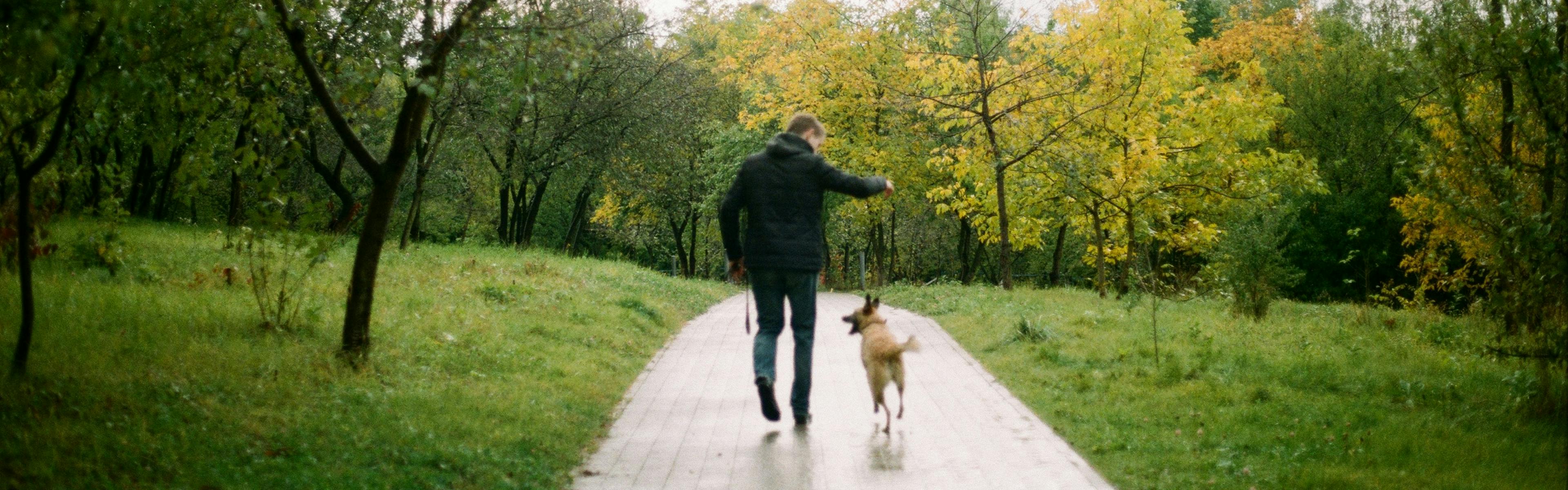 A person in a dark jacket and jeans walks away from the camera with a medium-sized, light brown dog on a paved path through a park. The trees on either side of the path show hints of autumn colors.