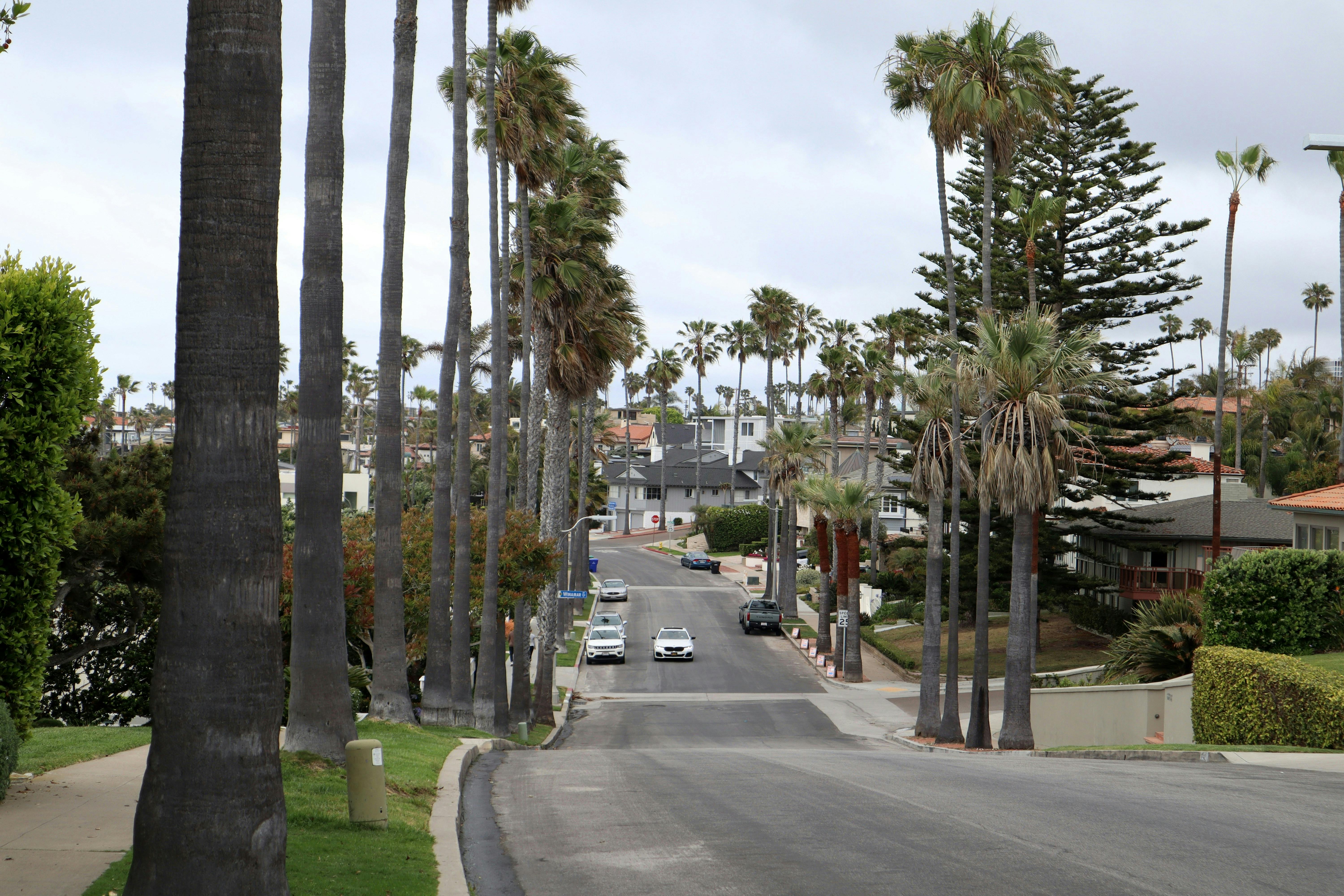 A residential street lined with tall palm trees, sloping downhill. Houses with red-tiled roofs are visible on either side, and a few cars are parked or driving on the street under a partly cloudy sky.