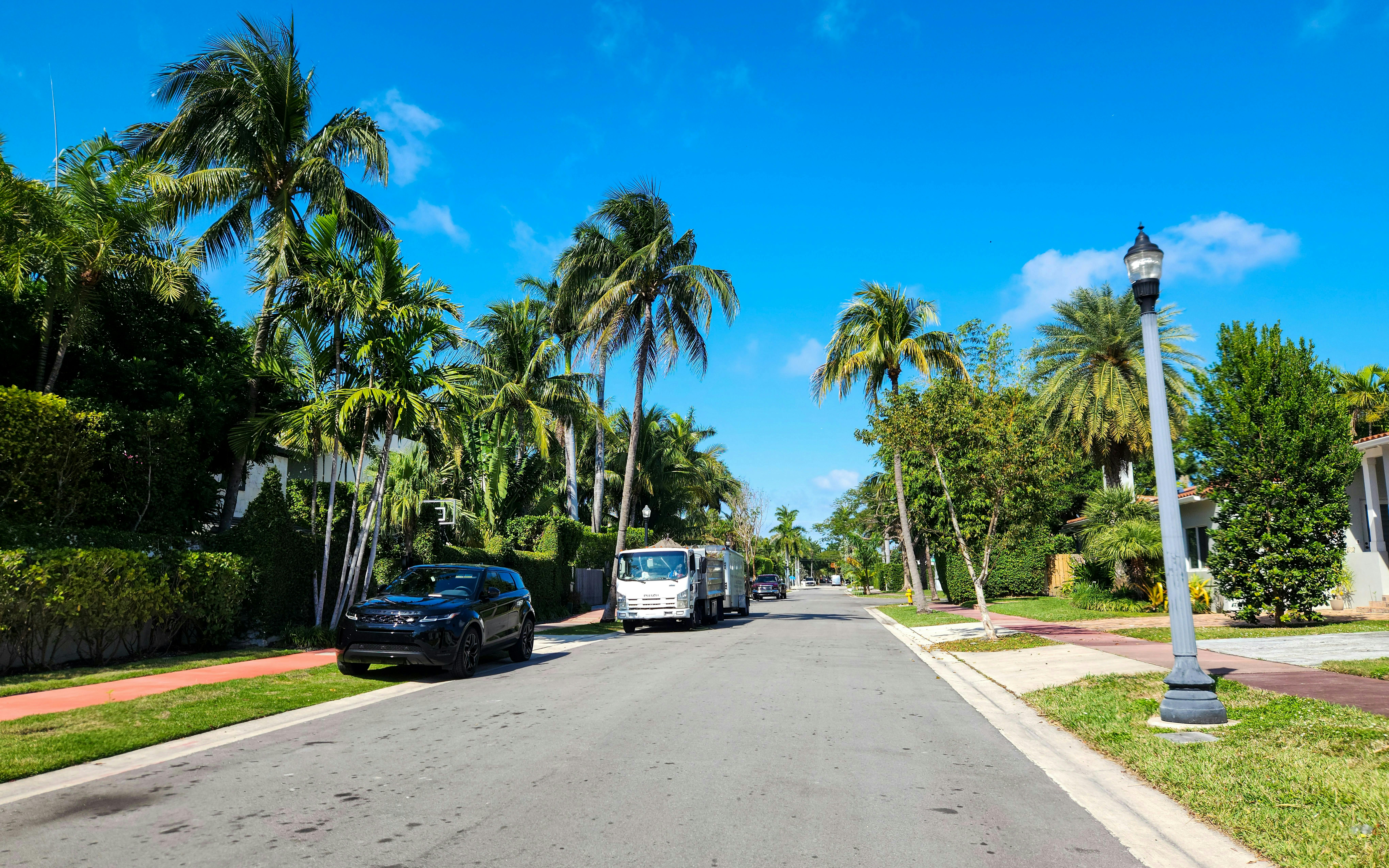 A residential street in Miami, lined with lush green palm trees and tropical foliage under a bright blue sky with scattered clouds. Several cars are parked along the side of the road.