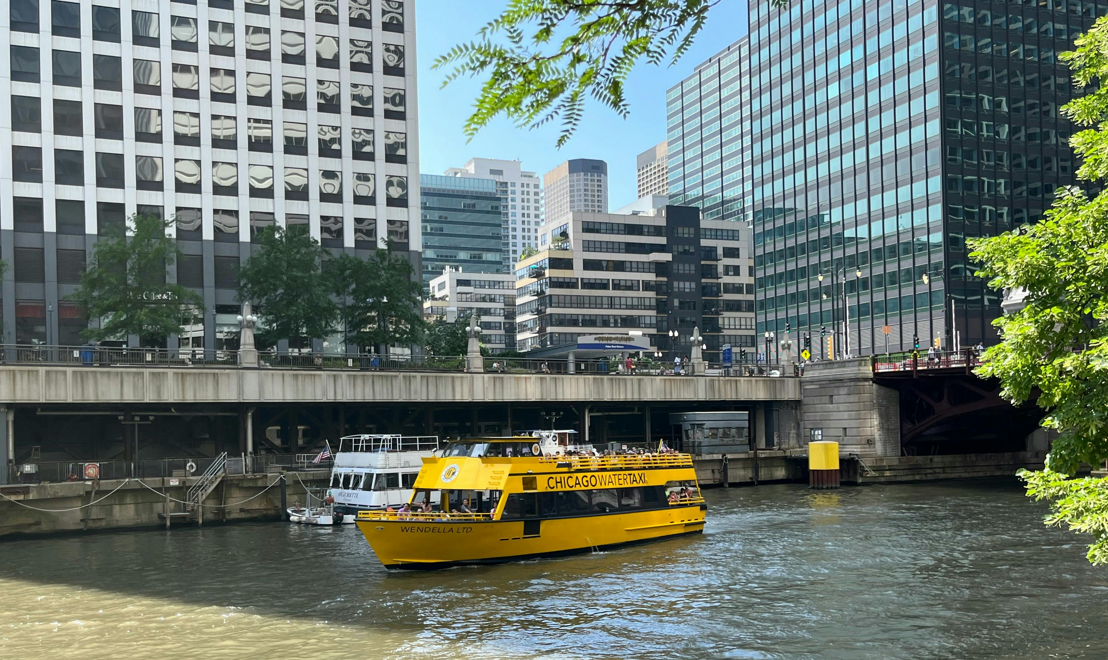 A bright yellow "Chicago Water Taxi" boat, named "Wendella II," cruises on a river flanked by large city buildings and bridges. Green tree leaves are visible in the foreground.


