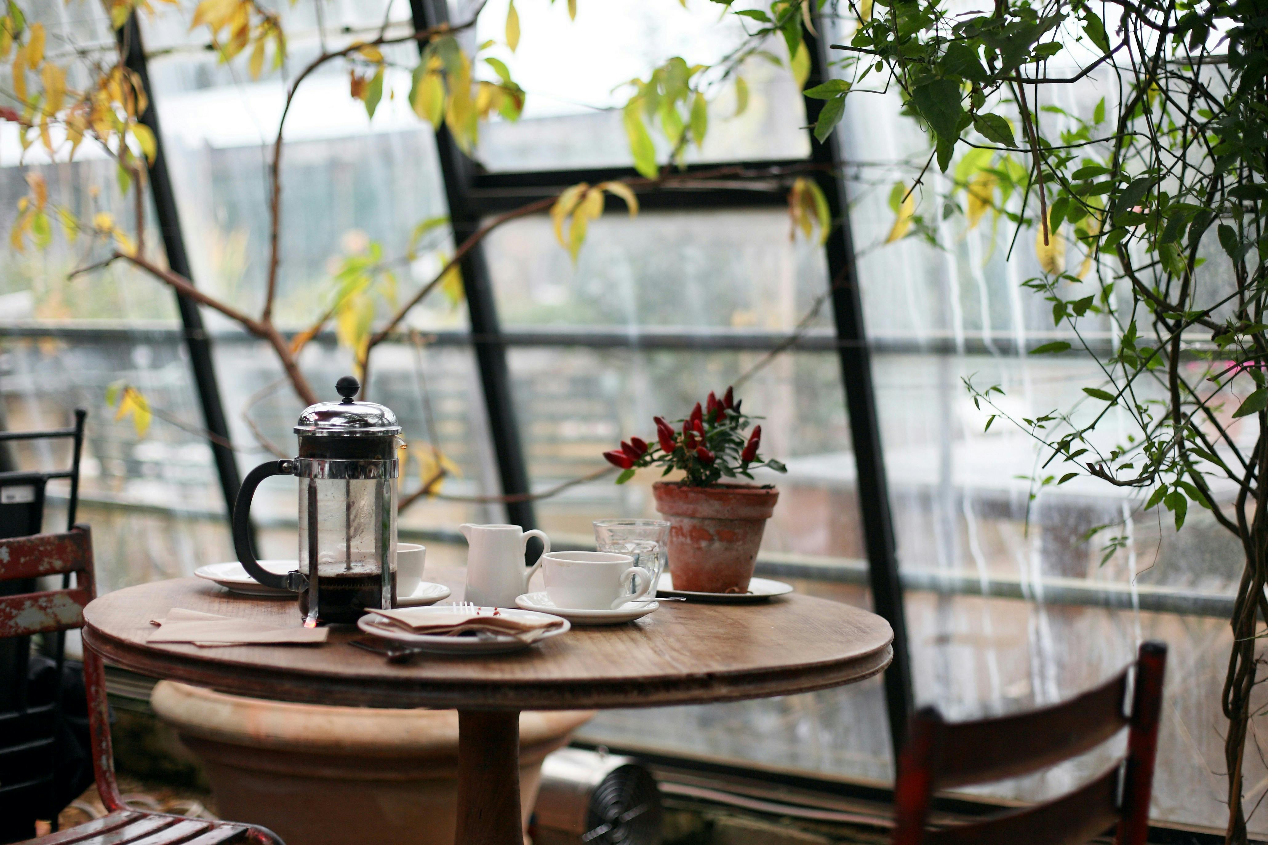 A dimly lit indoor cafe setting with a small table set with a French press, coffee cups, and saucers. A potted plant with red berries sits in the middle, and large windows with greenery outside are visible in the background.