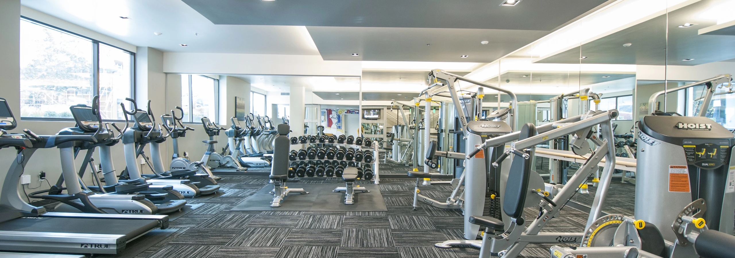 Fitness center at AMLI Waterfront apartments featuring dumbbells, weight benches, and cardio machines along large sunlit windows.