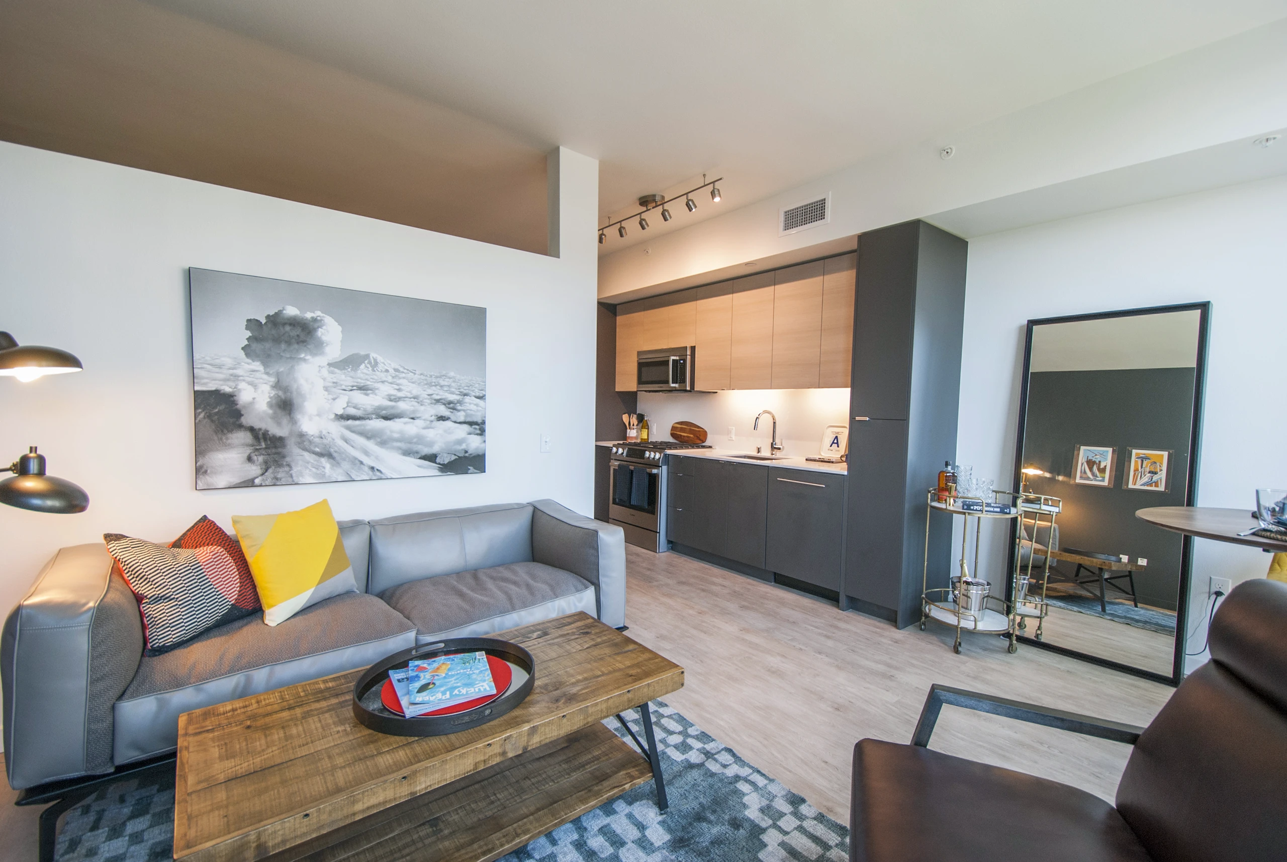 Interior view of AMLI Waterfront apartment living room with gray sofa, kitchen in background, large art, and wood coffee table.