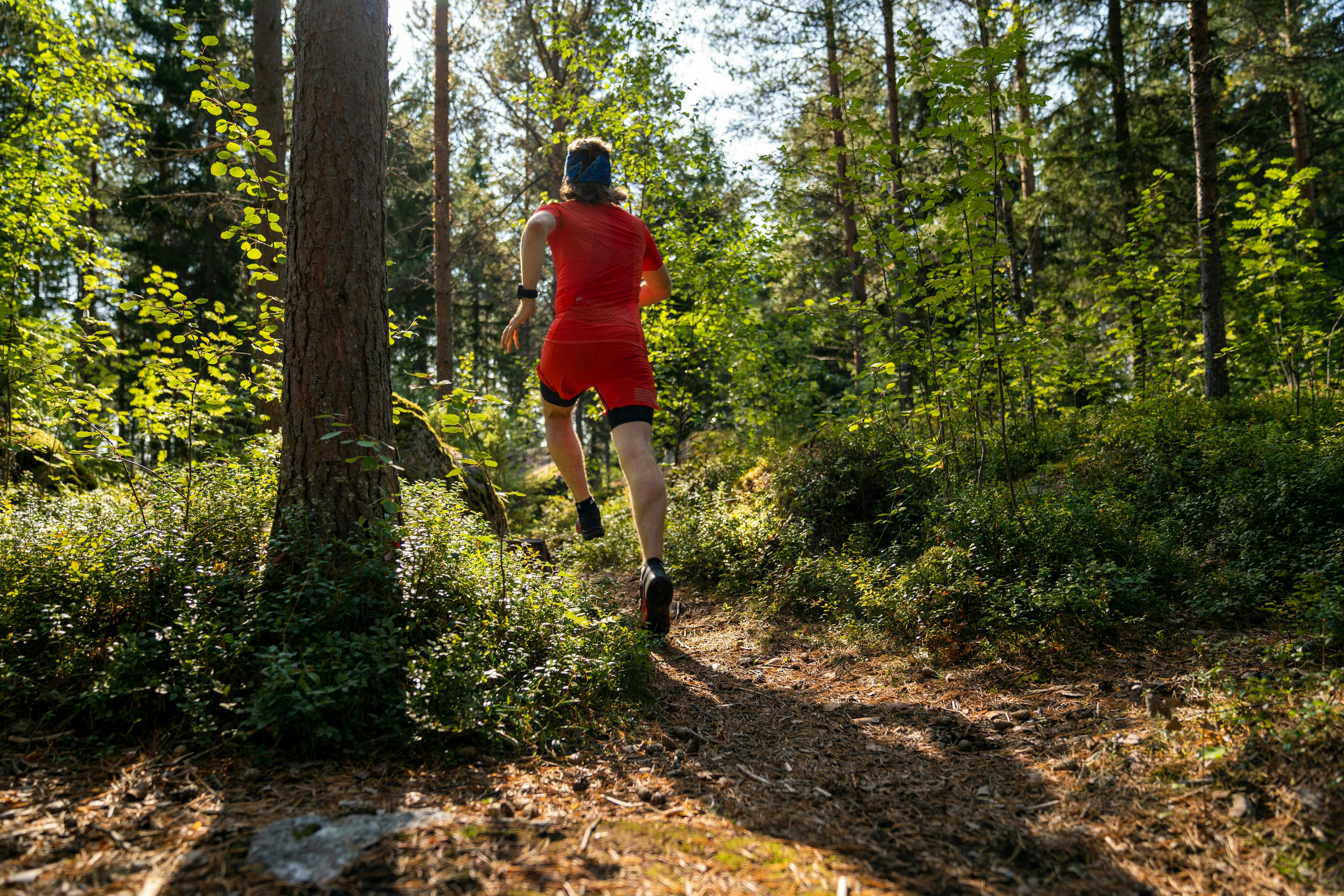 A person trail running away from the camera on a dirt path in a sunny forest. The runner is wearing a red shirt and shorts.
