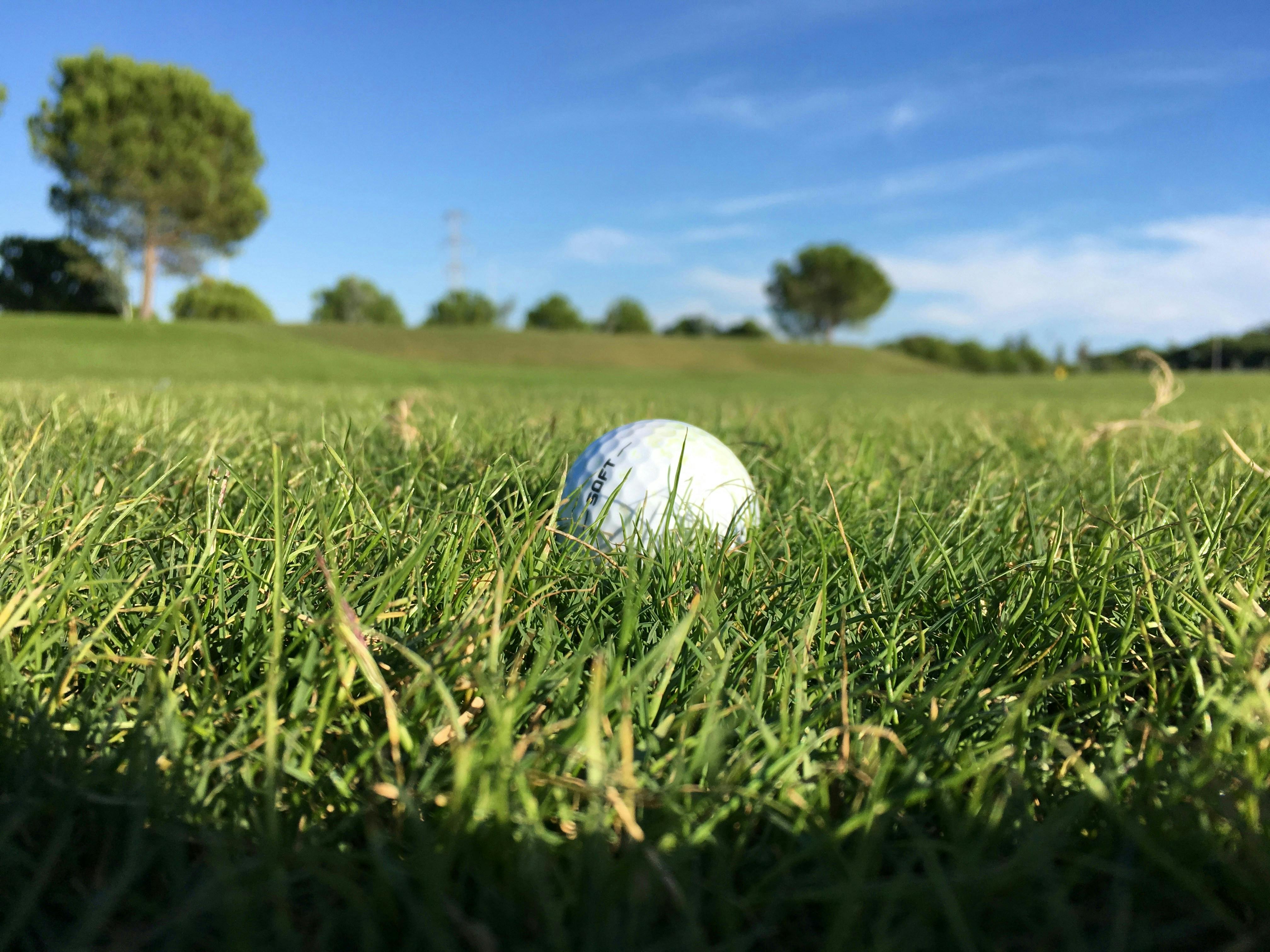 A close-up shot of a white golf ball with the word "SOFT" visible on its side, sitting on short green grass. The image has a shallow depth of field, with the grass in the foreground in sharp focus and a golf course with a few trees in the background out of focus under a clear blue sky.
