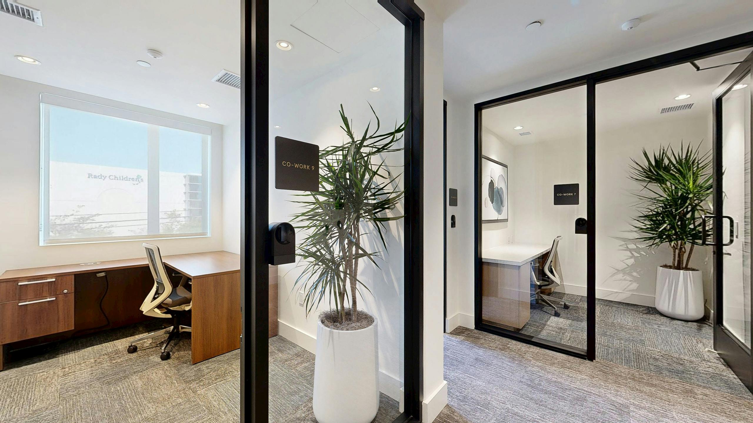 Private offices at AMLI Aero with abundant natural light, a desk with a chair, floor plant and door label for co-work