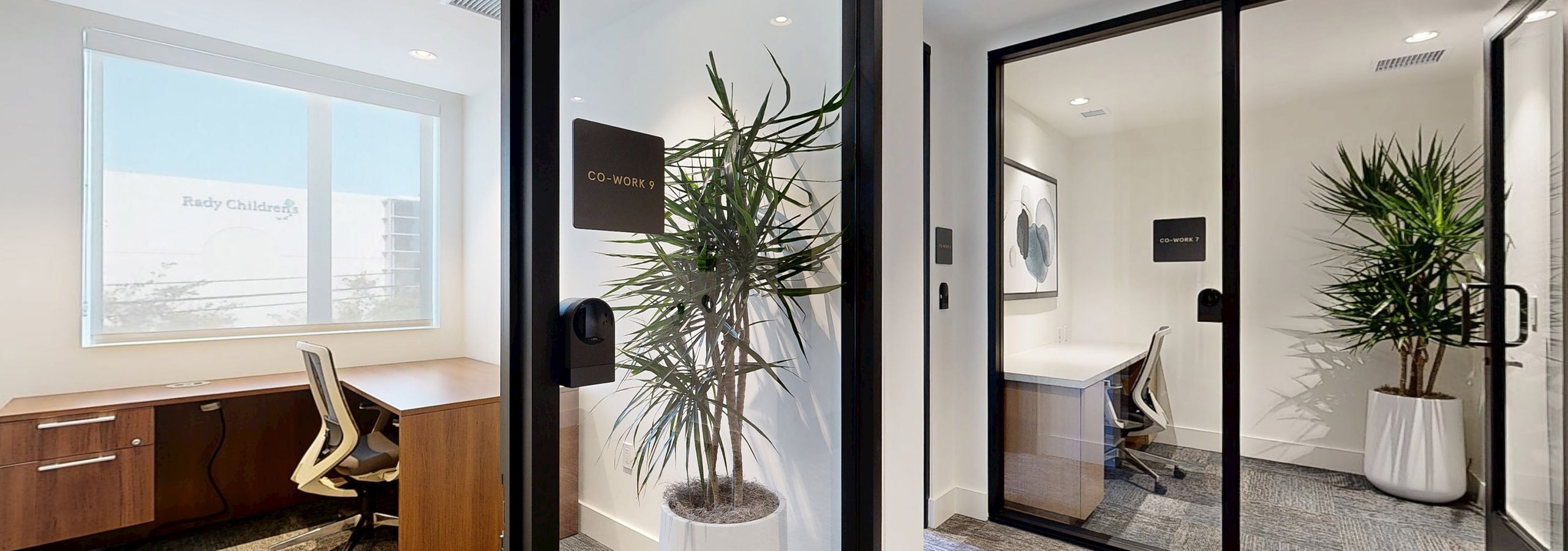 Private offices at AMLI Aero with abundant natural light, a desk with a chair, floor plant and door label for co-work