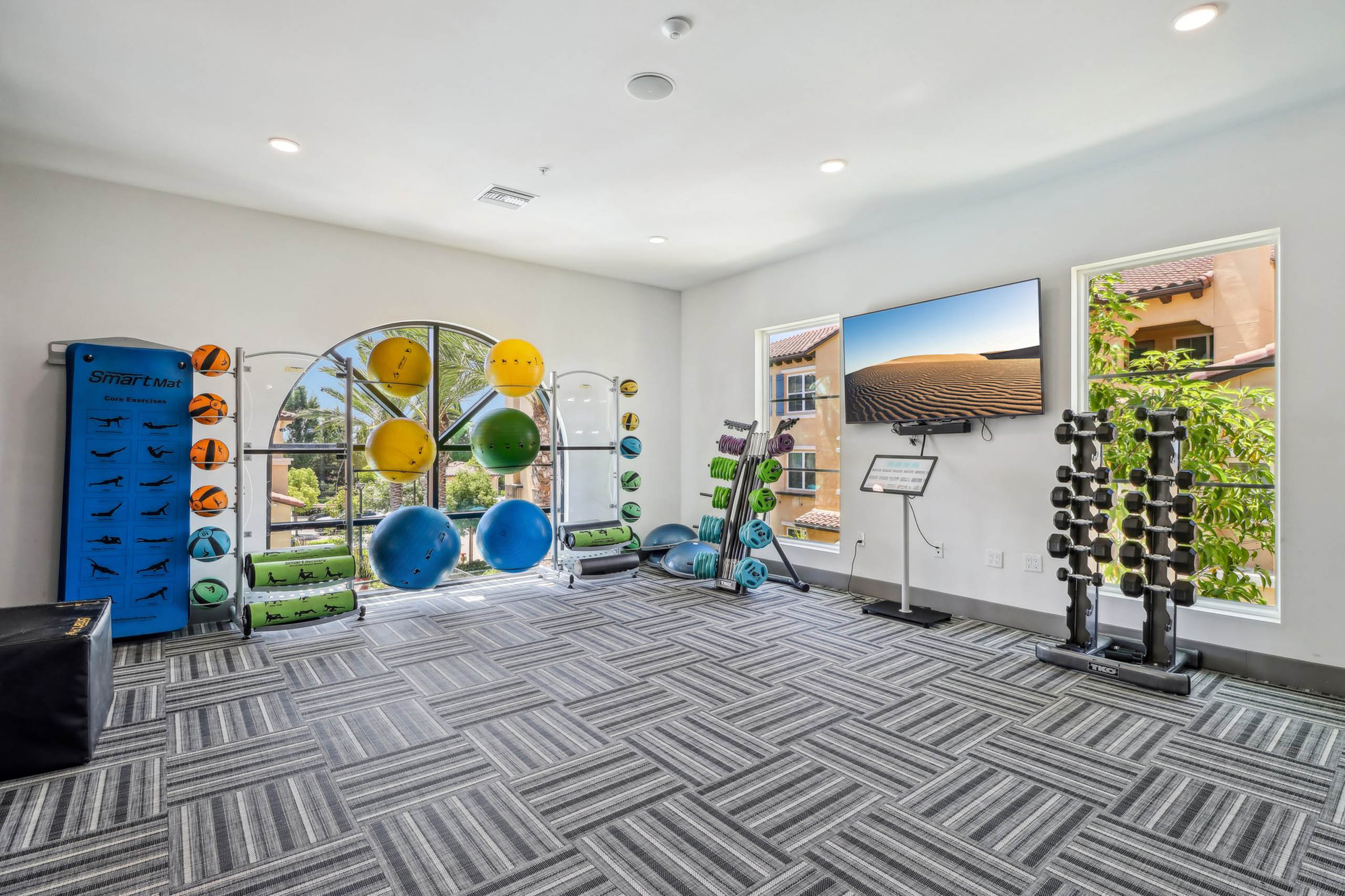 Fitness center at AMLI Camarillo apartments with colorful balance balls, mounted TV, free weights and windows looking out to palm trees