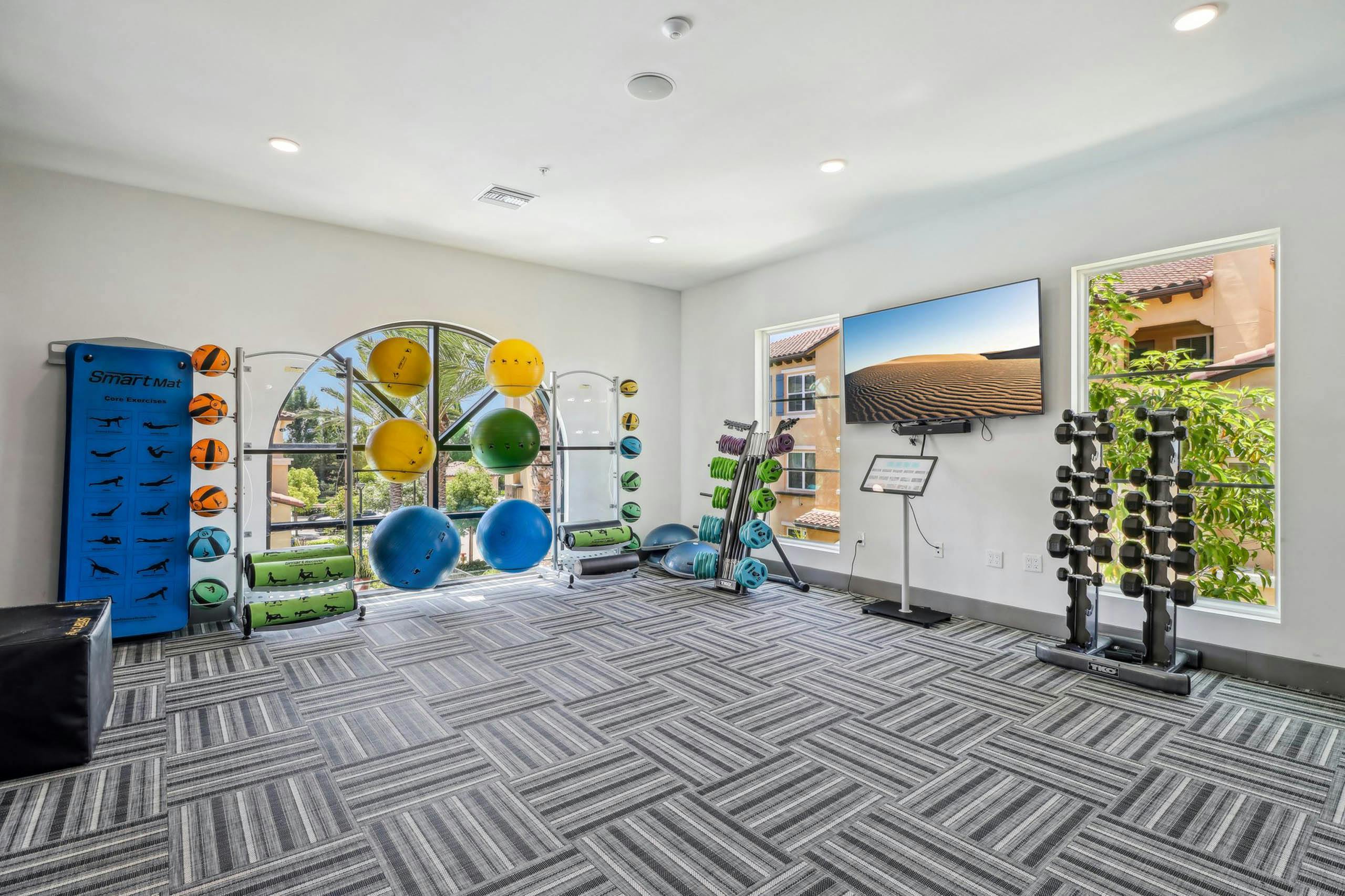 Fitness center at AMLI Camarillo apartments with colorful balance balls, mounted TV, free weights and windows looking out to palm trees