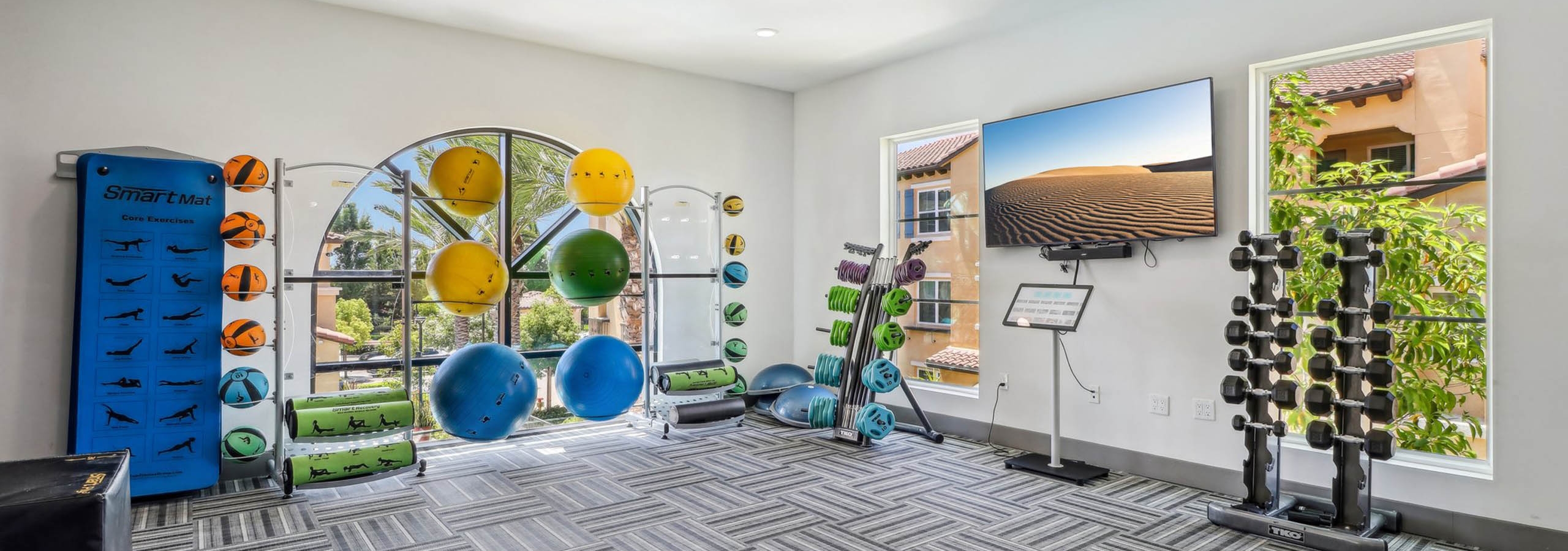 Fitness center at AMLI Camarillo apartments with colorful balance balls, mounted TV, free weights and windows looking out to palm trees