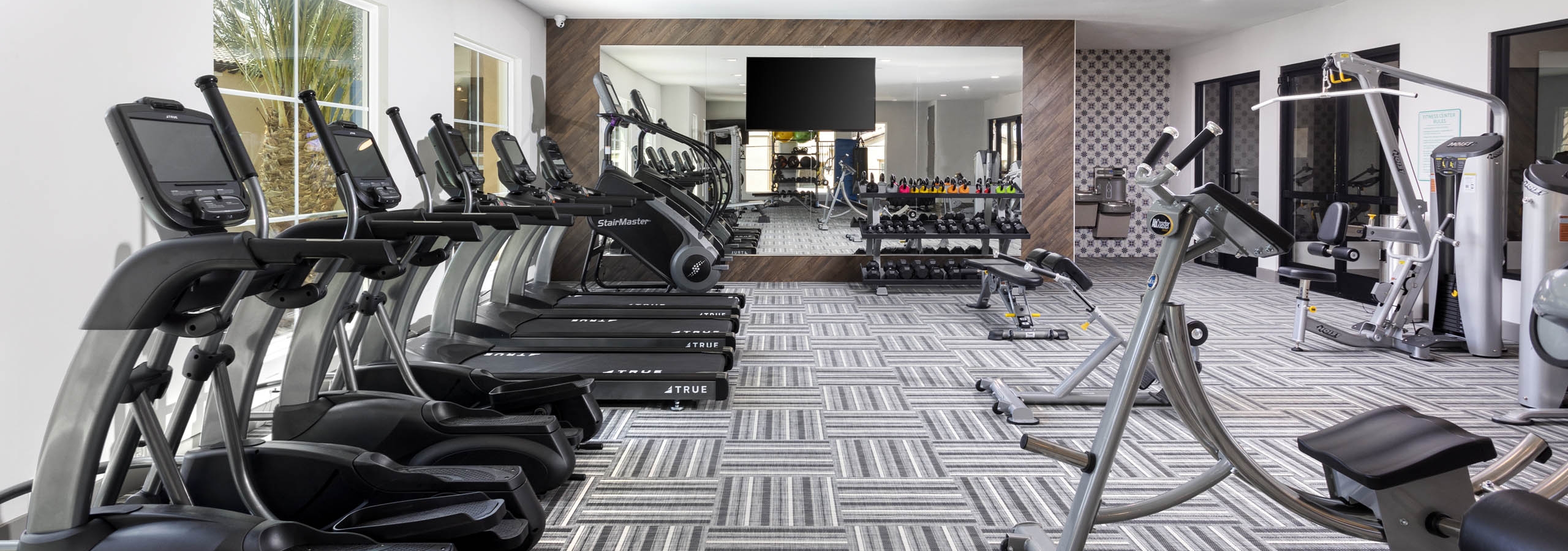 Interior view of AMLI Camarillo fitness center with treadmills, free weights, strength machines, and floor-to-ceiling mirrors