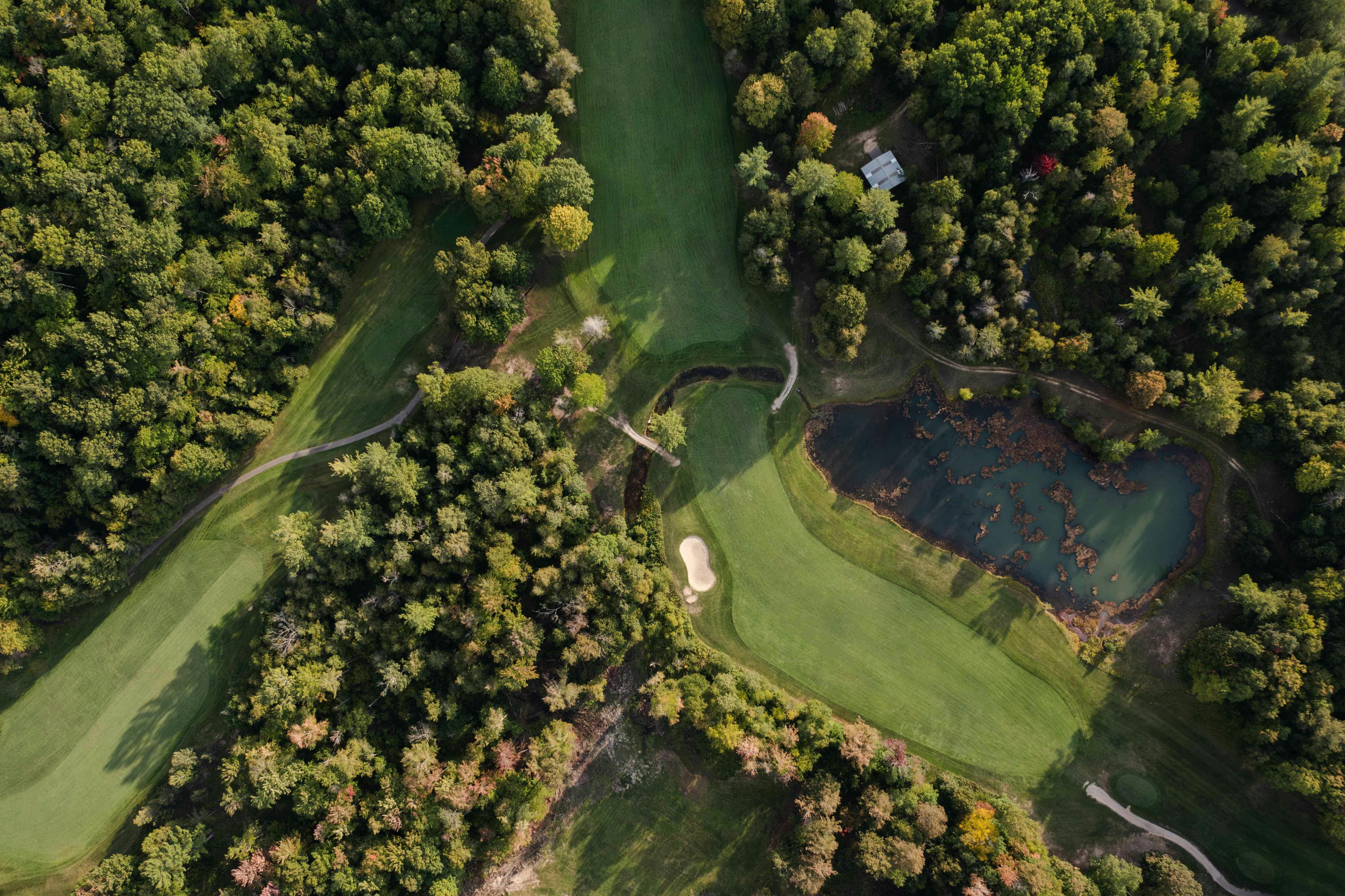 A high aerial view of a lush, wooded golf course. The fairways are bright green, surrounded by dense trees. A dark pond with an irregular shape and a bunker are visible in the lower right, and cart paths wind through the trees.