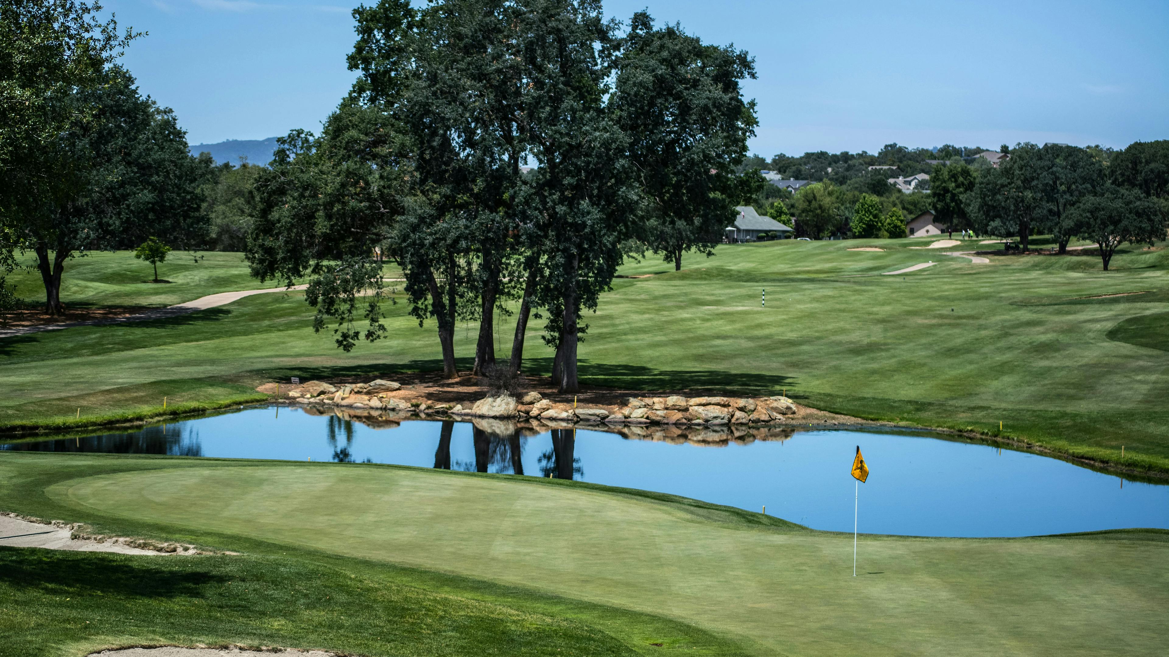 A picturesque golf hole with a small pond acting as a water hazard in front of the green. A cluster of mature trees sits on a rocky patch in the middle of the pond. A yellow flag marks the hole, and the rest of the course and some distant homes are visible under a clear blue sky.