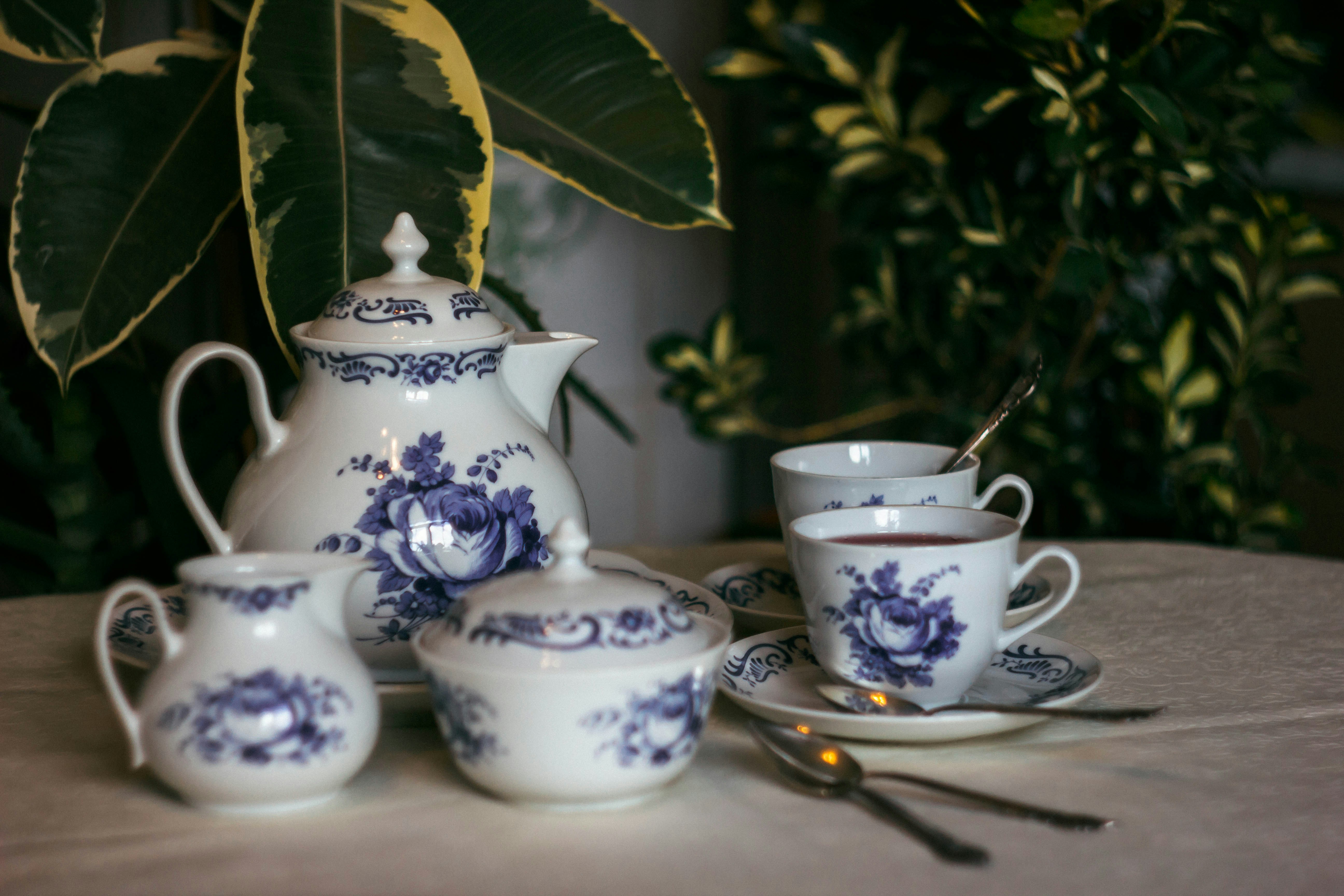 9 Places to Enjoy Afternoon Tea in Austin
