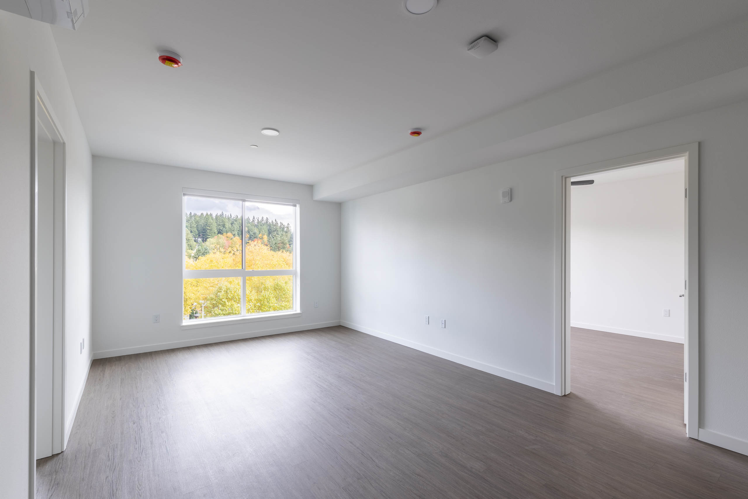 Interior view of AMLI Redmond Way apartment living room with wood-style flooring, white walls, and forest-facing window.