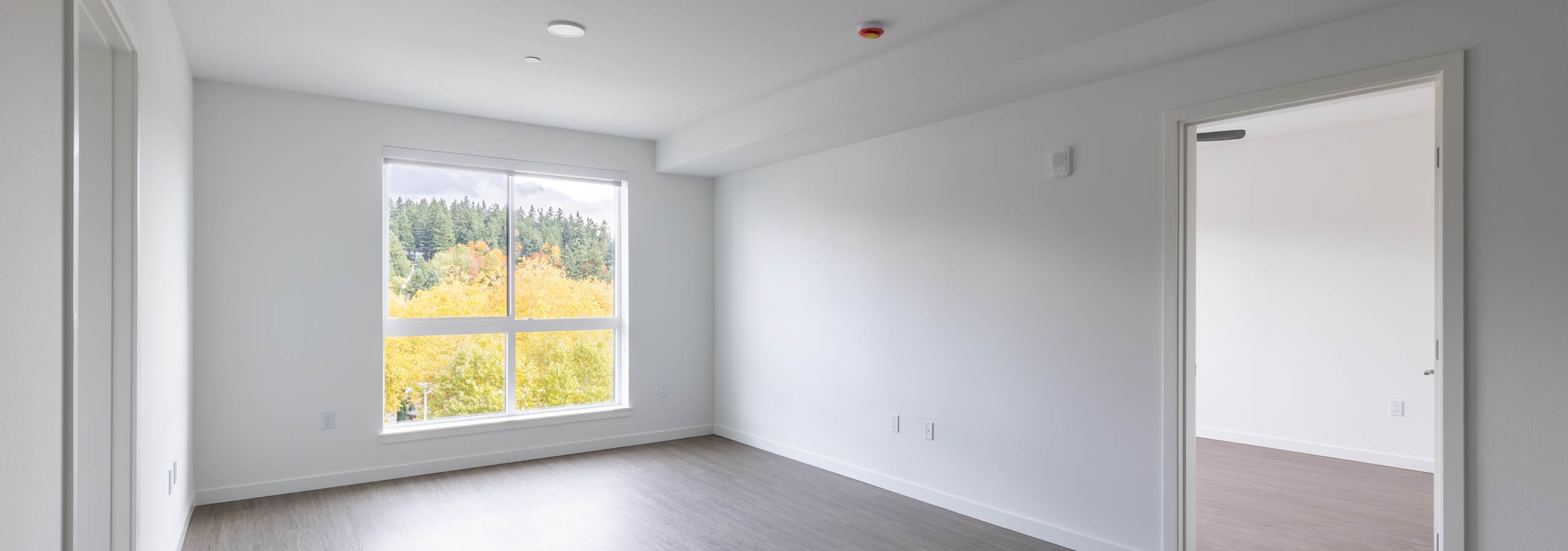 Interior view of AMLI Redmond Way apartment living room with wood-style flooring, white walls, and forest-facing window.