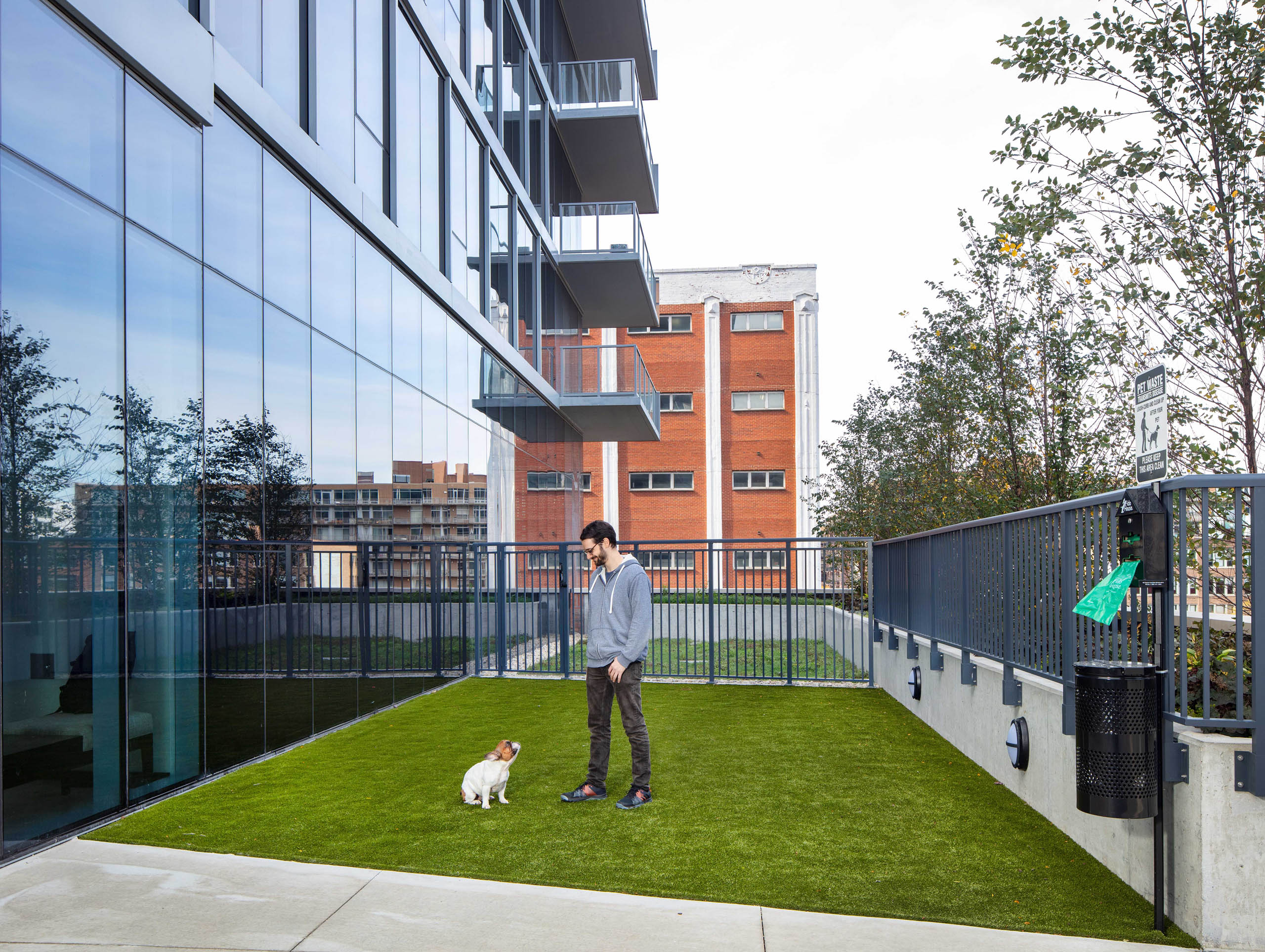 Daytime view of AMLI West Loop expansive dog run with a man and his small white dog standing on the artificial grass.