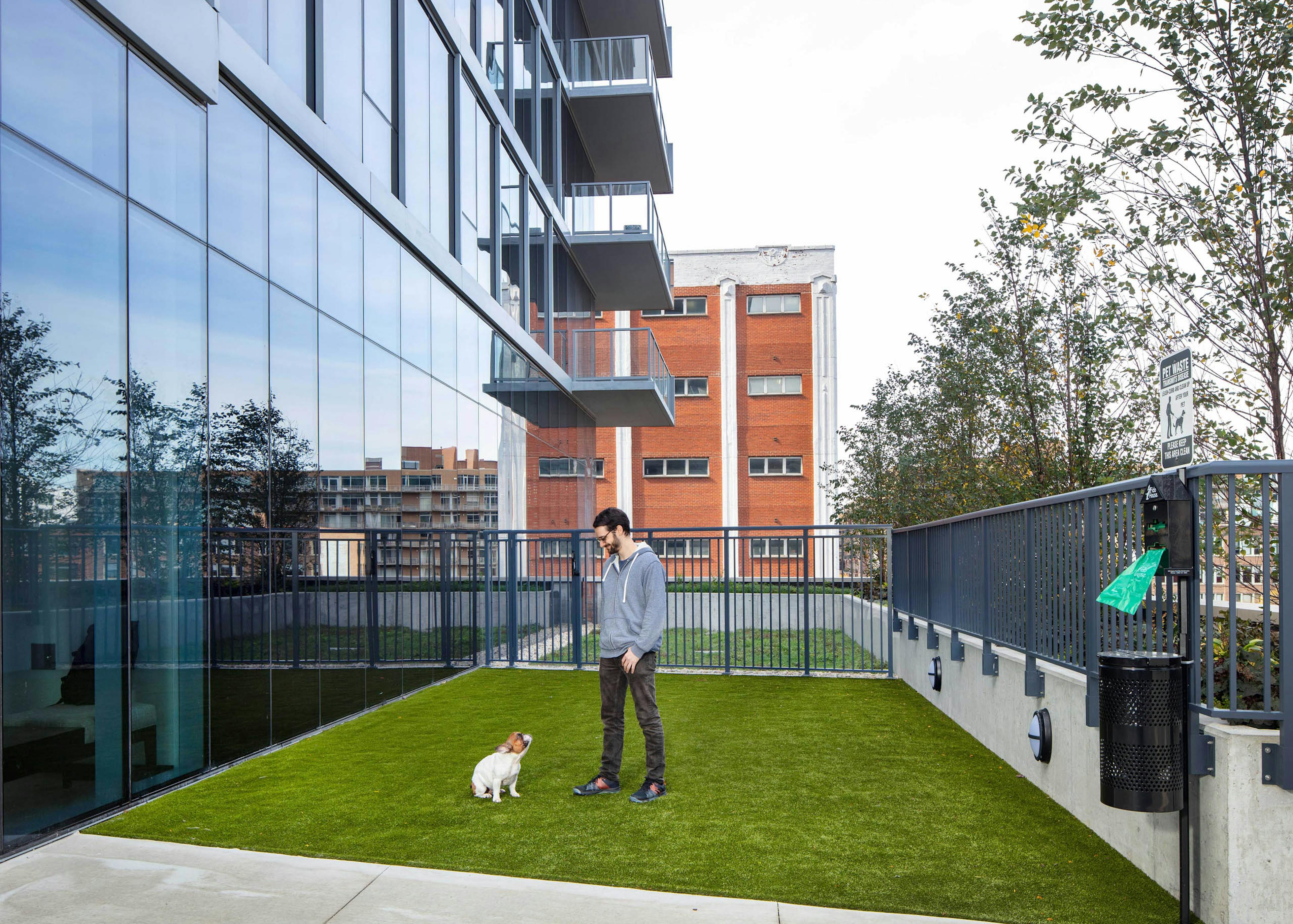 Daytime view of AMLI West Loop expansive dog run with a man and his small white dog standing on the artificial grass.