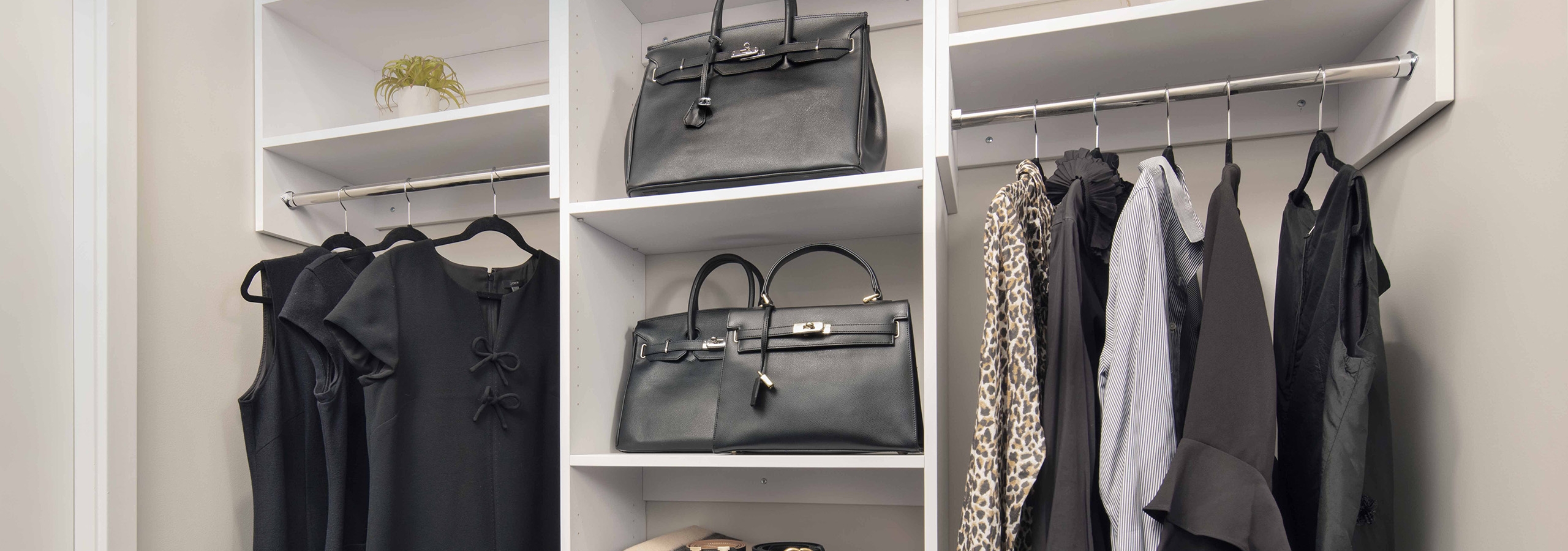 Spacious walk-in closet at AMLI West Loop with white built-in shelving and various clothing items hung up and on shelves.