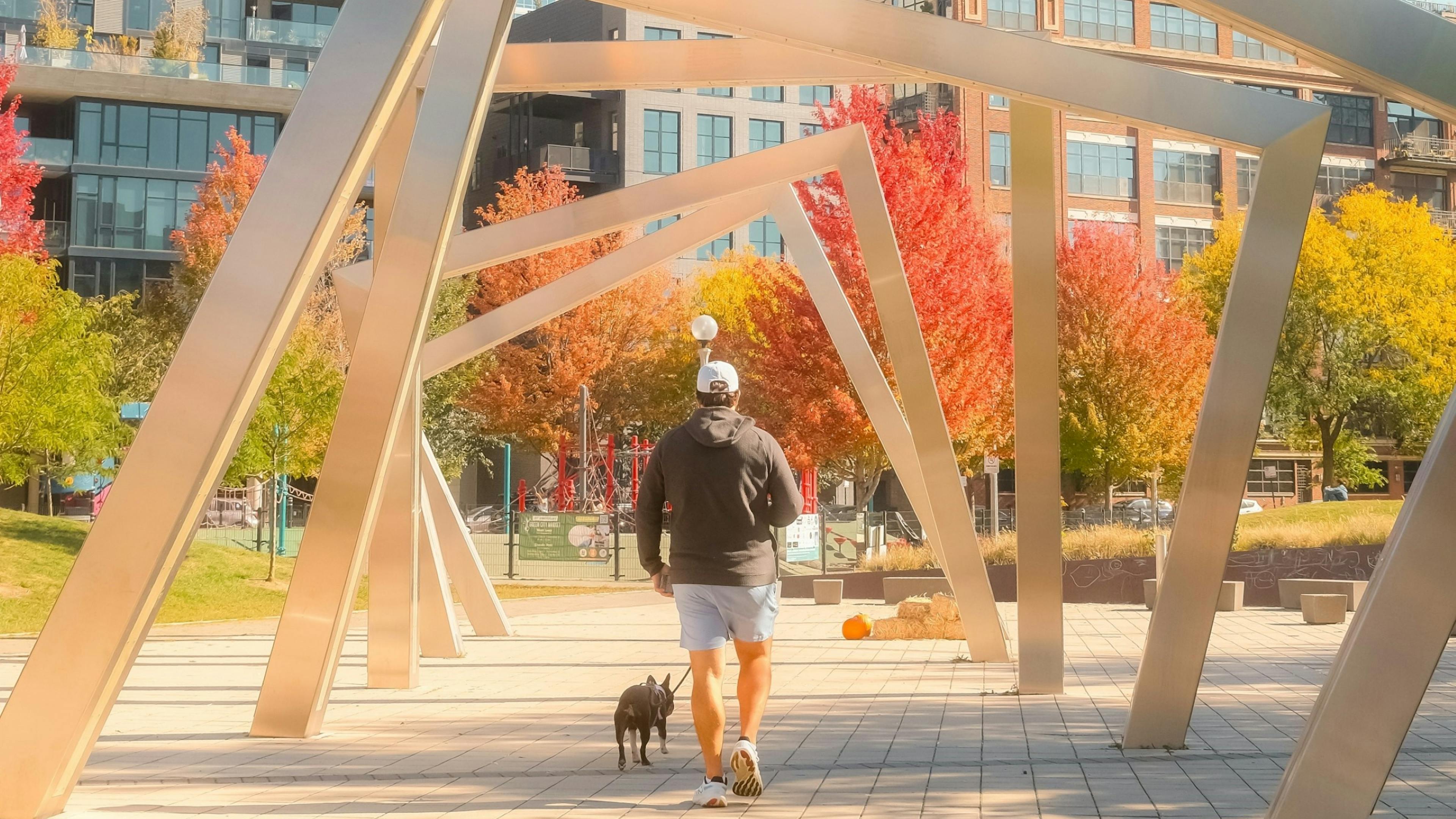 A man walking a black dog through a modern, metallic archway structure in Bartelme Park, with colorful fall foliage and apartment buildings in the background.