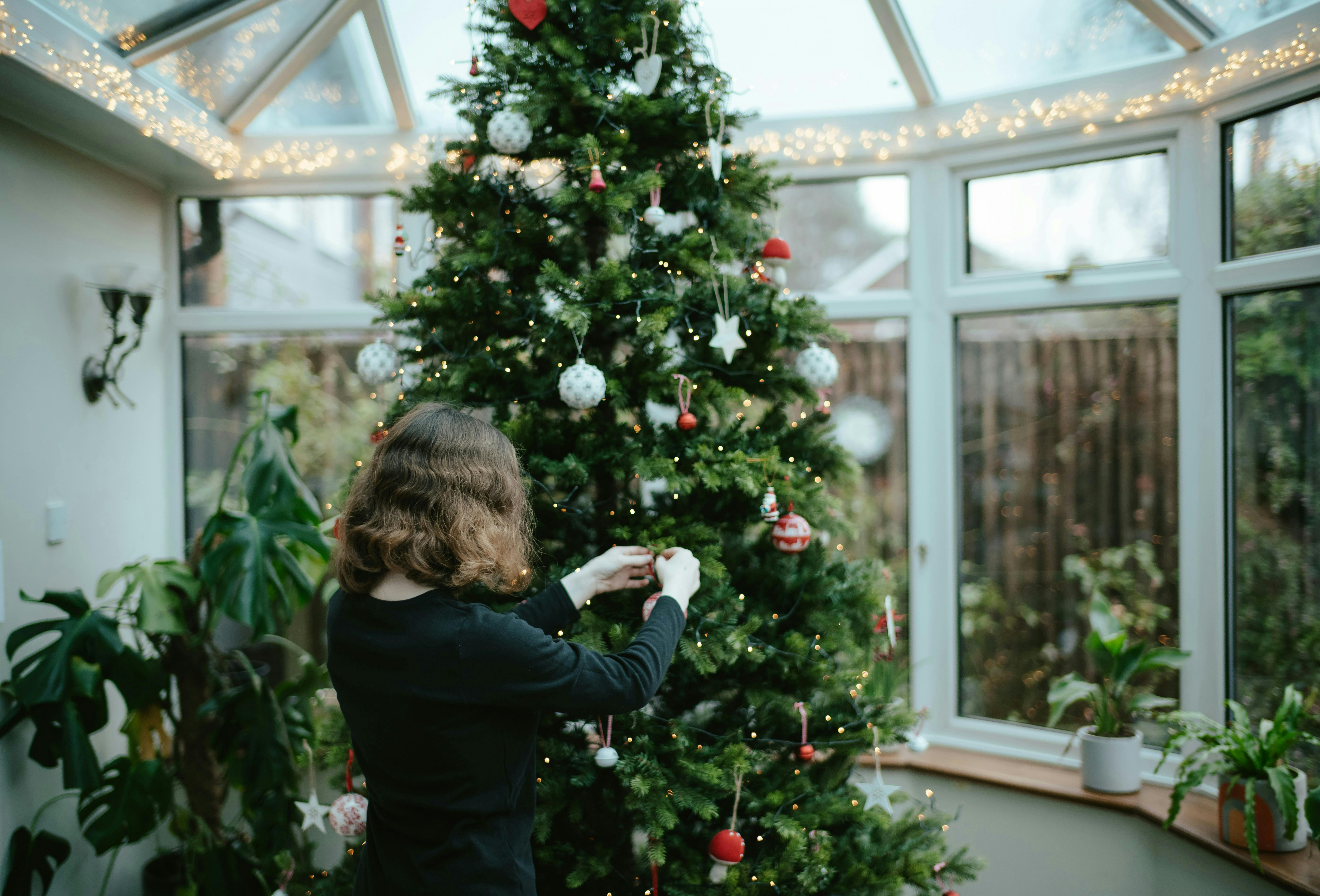 A young woman, seen from the back, placing an ornament on a tall, decorated Christmas tree in a sunlit conservatory or glass-enclosed porch surrounded by houseplants.