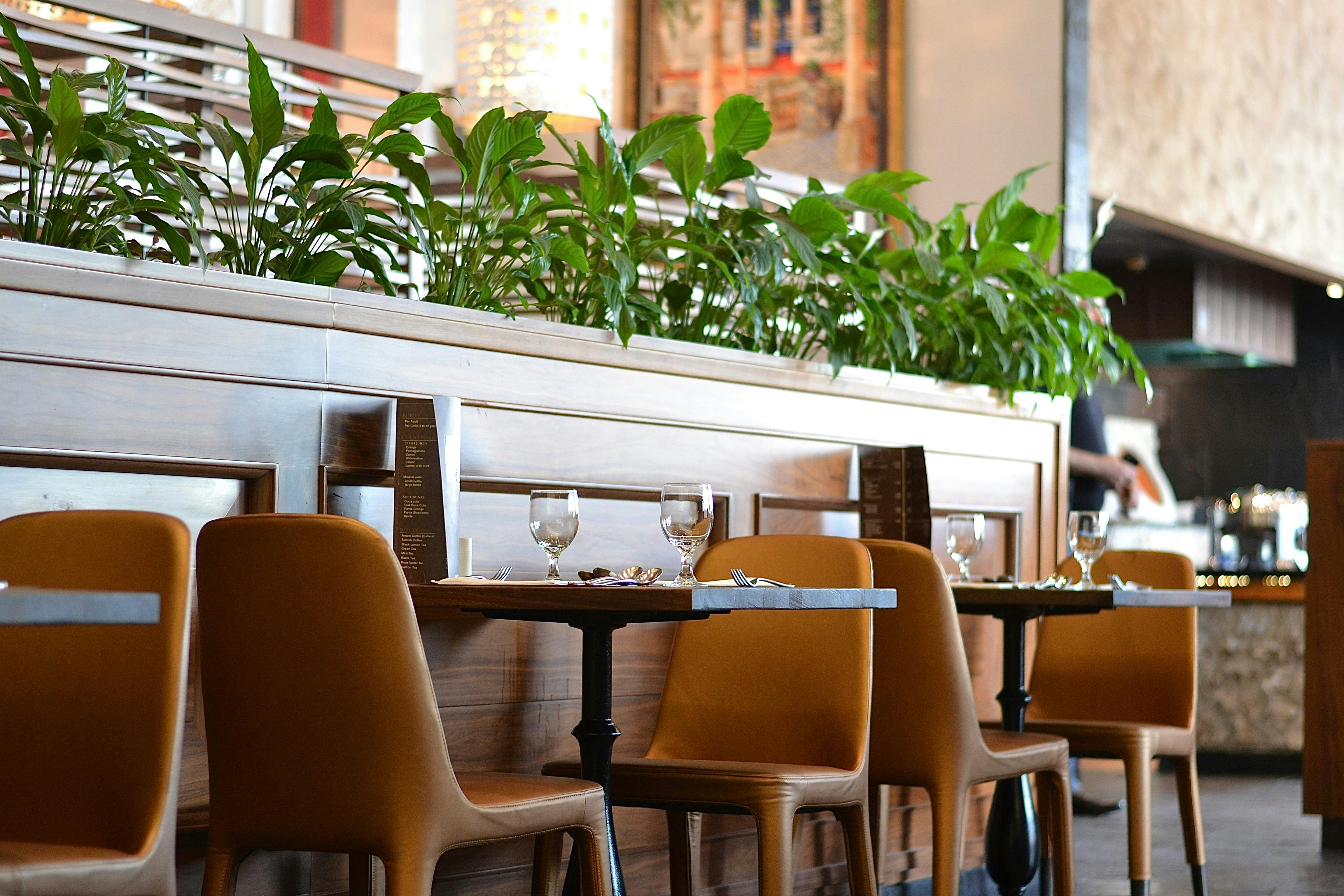Interior of a modern upscale restaurant featuring tan leather chairs at small wooden tables, separated by a long wooden planter filled with lush green peace lily plants.
