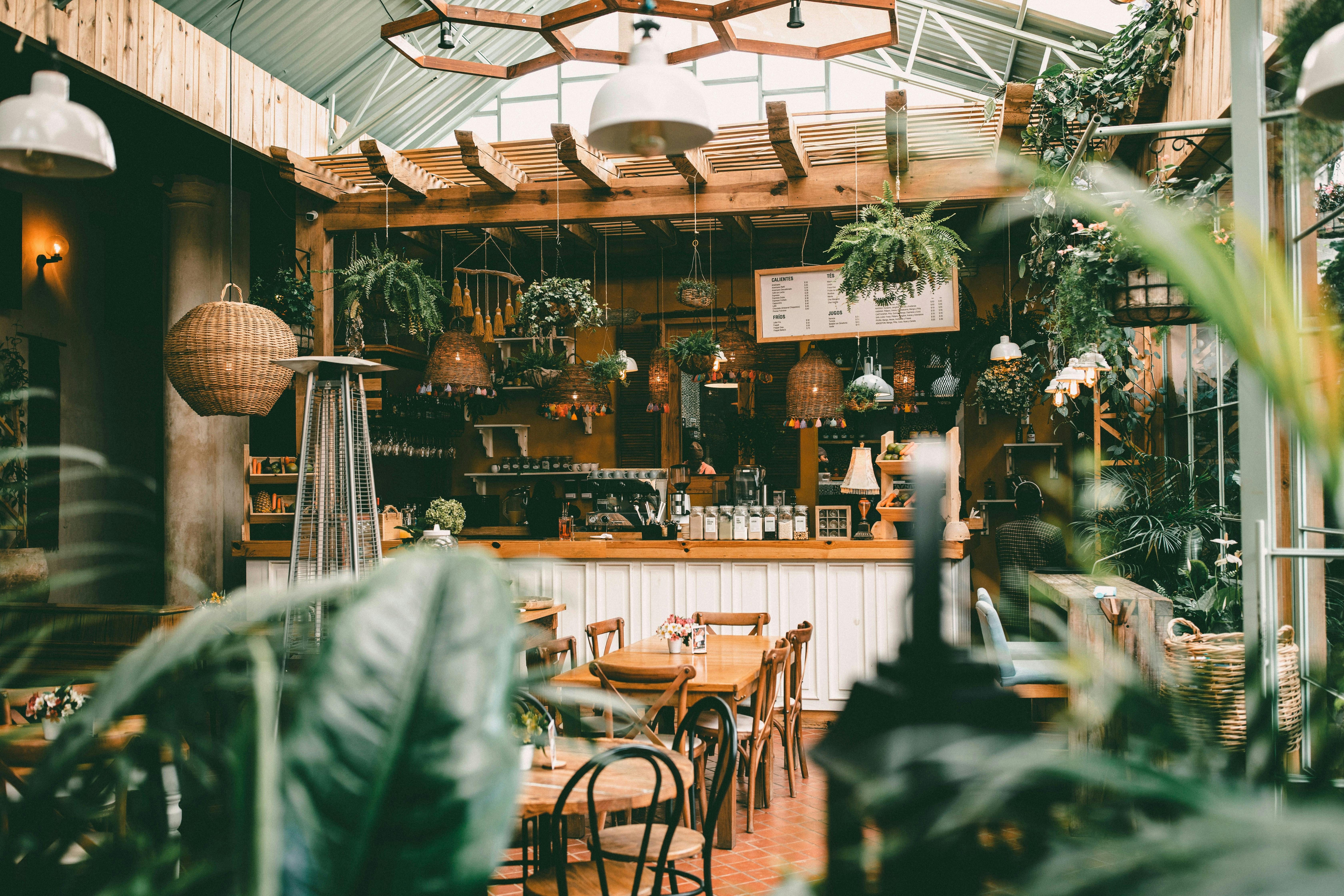 Wide interior shot of a rustic, greenhouse-style cafe featuring a wood-paneled ceiling with a central skylight, hanging ferns, and wicker light fixtures. The space is filled with wooden dining tables on red tiled floors, seen through soft-focus tropical greenery in the foreground.