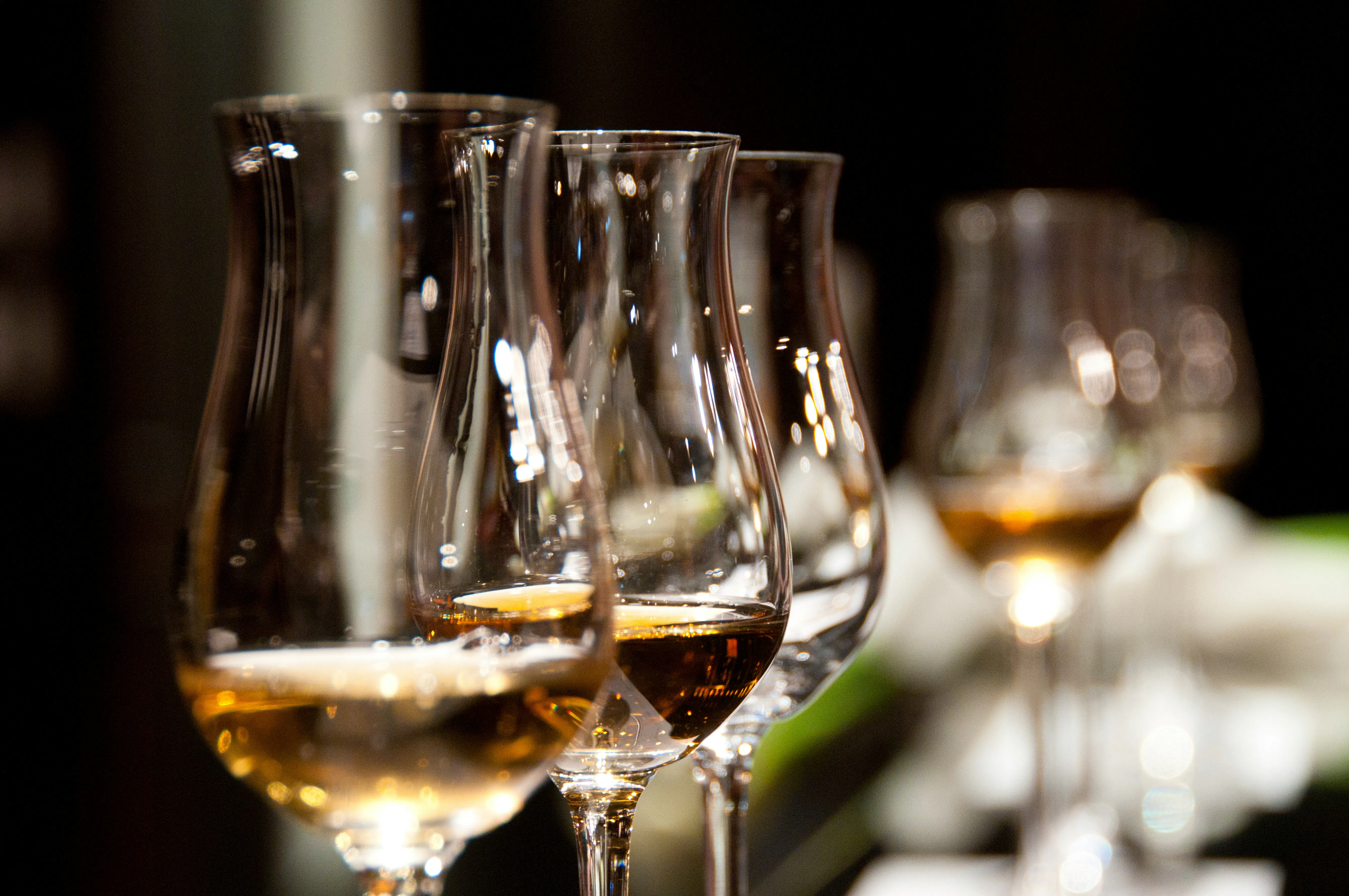 A dramatic, close-up shot of several elegant, tulip-shaped glasses lined up. Each glass contains a small amount of amber-colored wine or spirit, with sharp highlights reflecting off the rims against a dark, blurred background.


