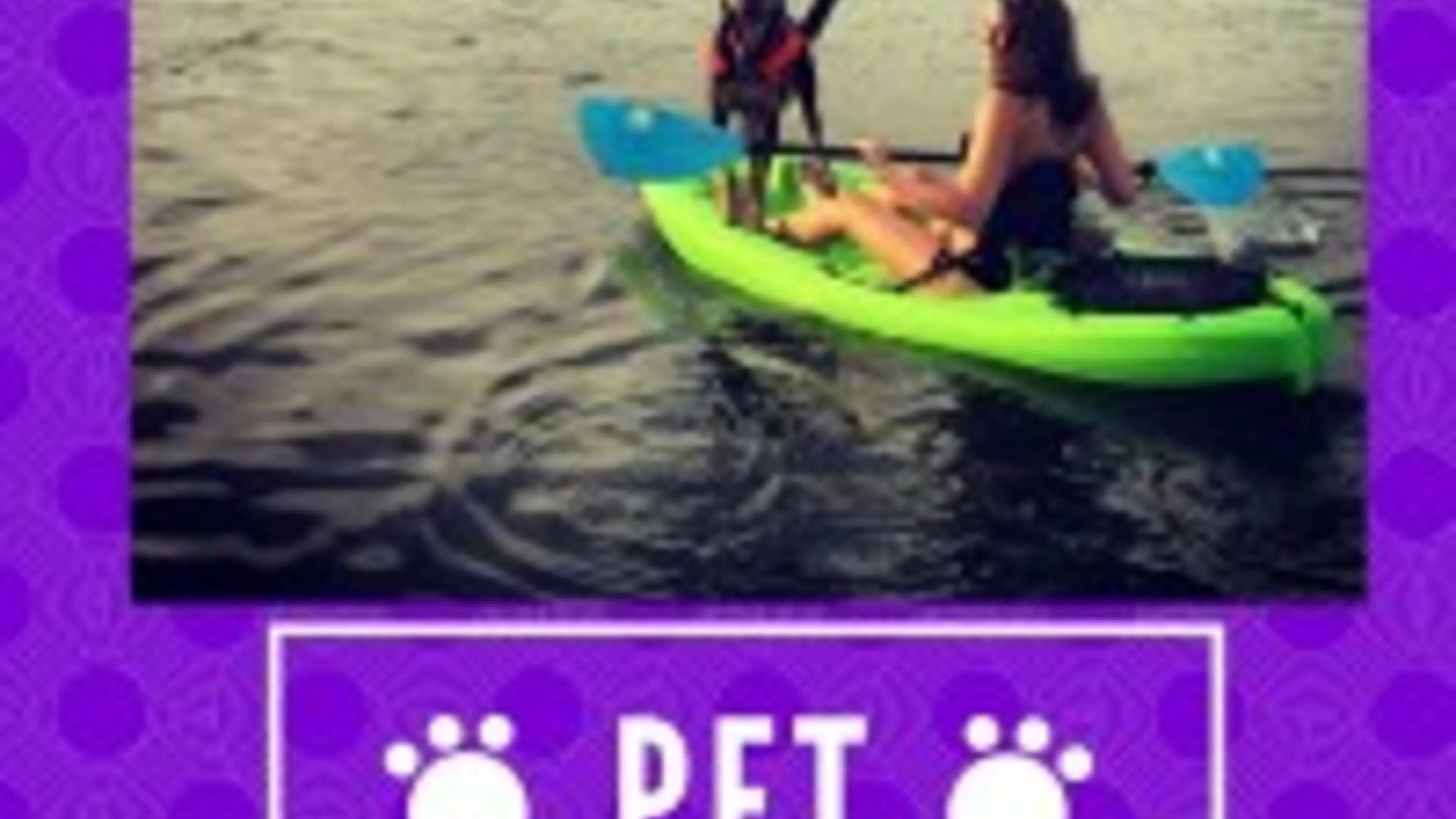 Pet of the Month- Meet Austin's Adventurous Katie