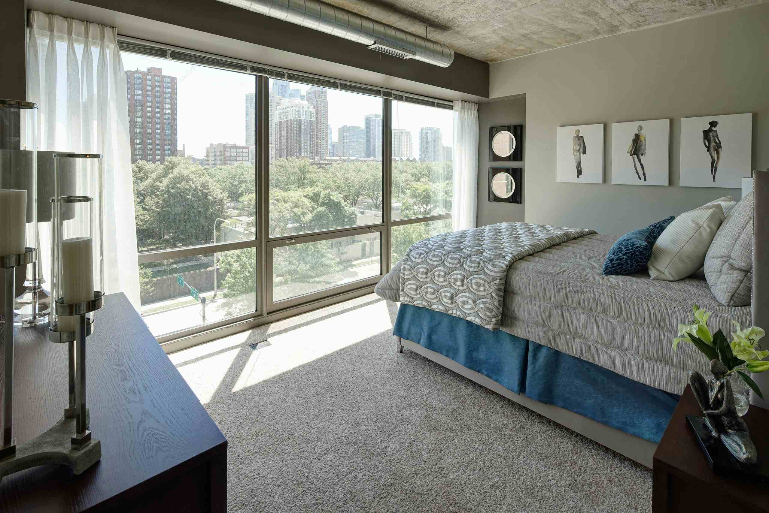 South Loop Studio 1 2 3 Br Apartments Amli 900