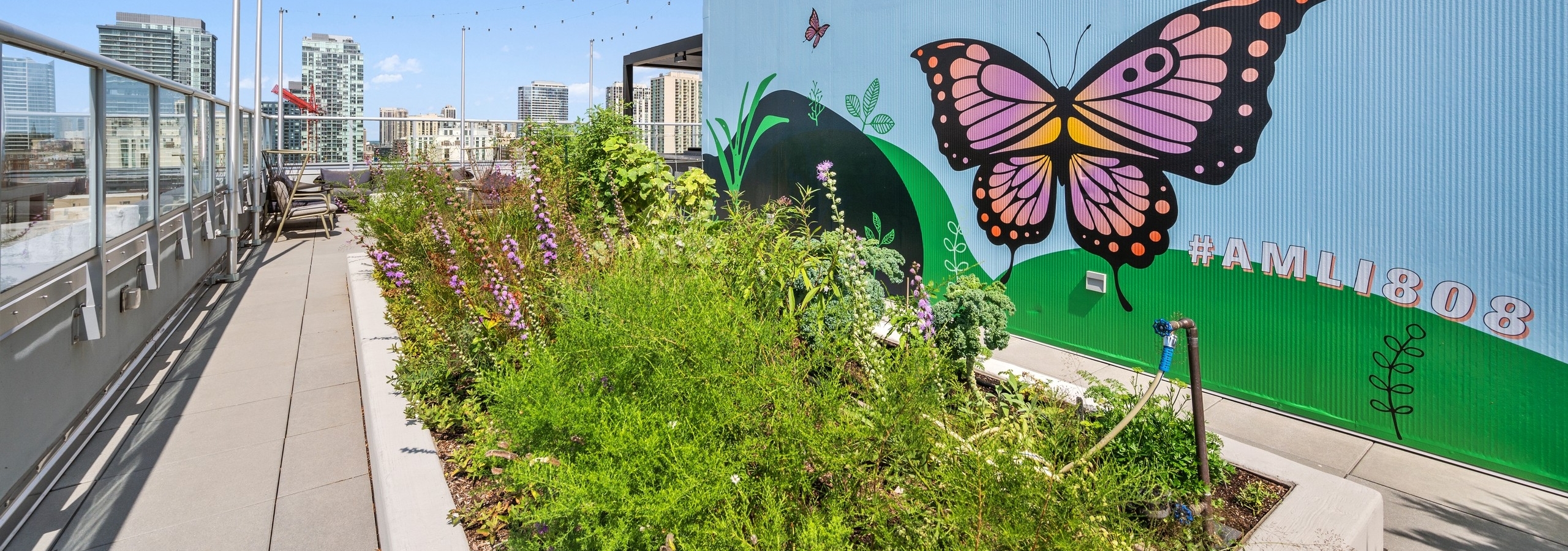 Organic garden beside colorful mural with large butterfly on roof deck of AMLI 808 apartment building
