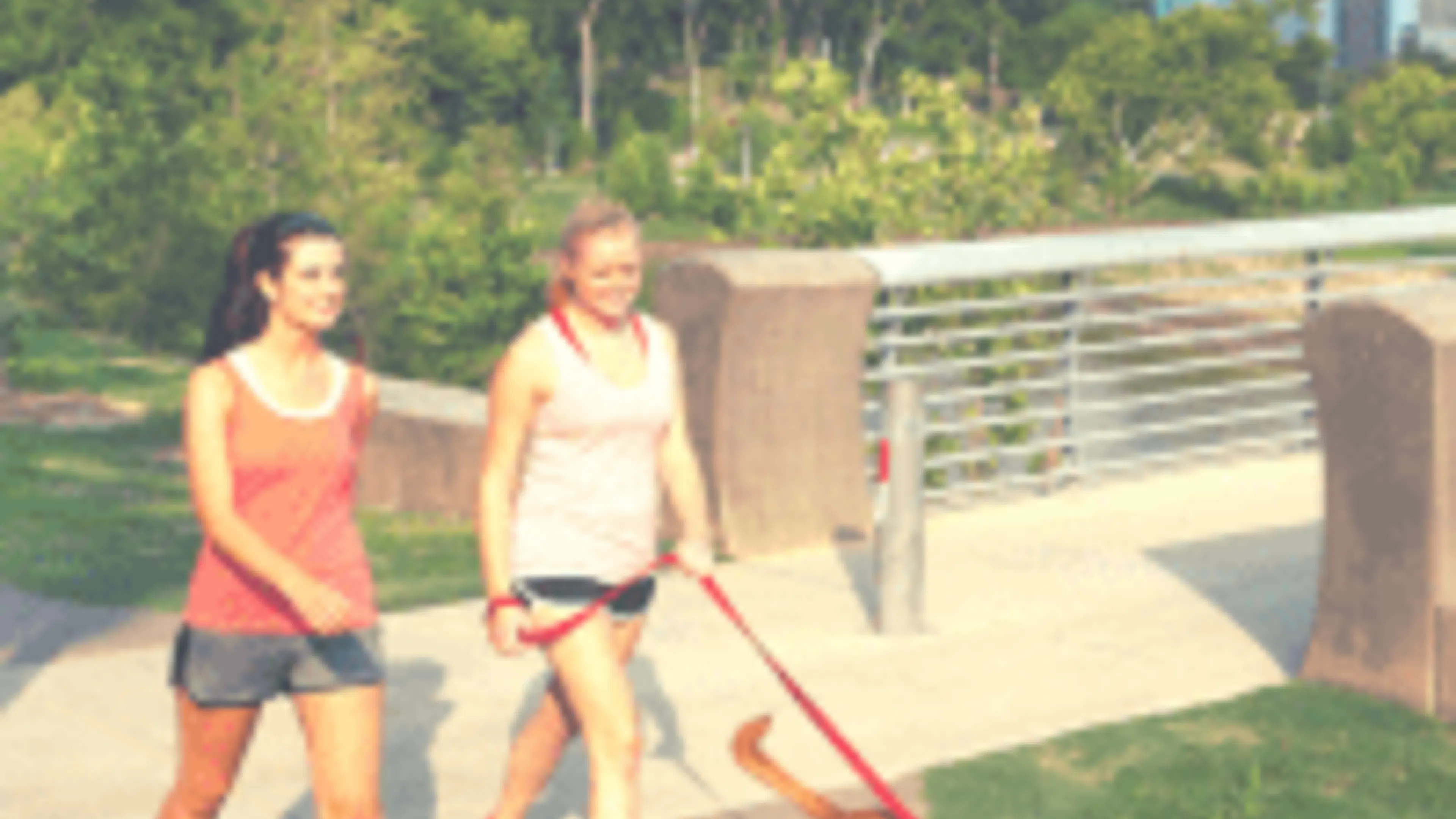 Neighborhood Spotlight- River Oaks, Houston